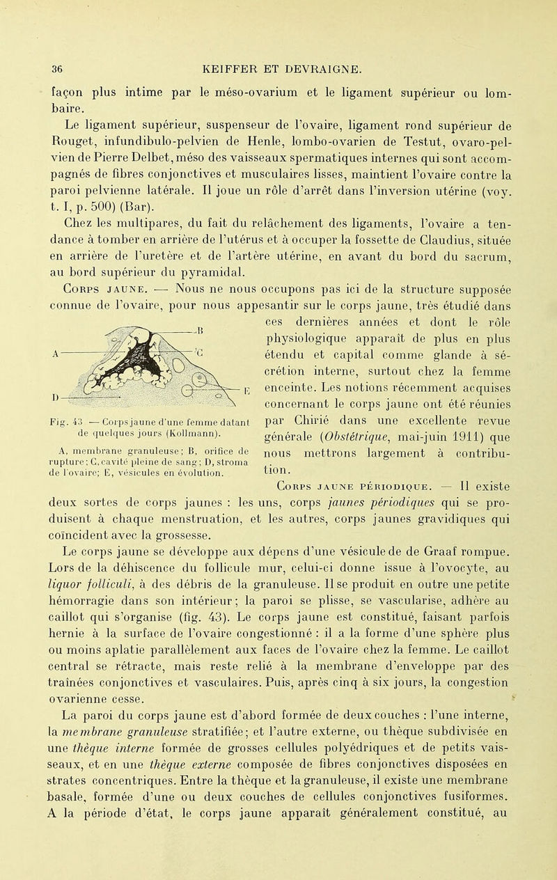 façon plus intime par le méso-ovarium et le ligament supérieur ou lom- baire. Le ligament supérieur, suspenseur de l'ovaire, ligament rond supérieur de Rouget, infundibulo-pelvien de Henle, lombo-ovarien de Testut, ovaro-pel- vien de Pierre Delbet,méso des vaisseaux spermatiques internes qui sont accom- pagnés de fibres conjonctives et musculaires lisses, maintient l'ovaire contre la paroi pelvienne latérale. Il joue un rôle d'arrêt dans l'inversion utérine (voy. t. I, p. 500) (Bar). Chez les multipares, du fait du relâchement des ligaments, l'ovaire a ten- dance à tomber en arrière de l'utérus et à occuper la fossette de Claudius, située en arrière de l'uretère et de l'artère utérine, en avant du bord du sacrum, au bord supérieur du pyramidal. Corps jaune. ■— Nous ne nous occupons pas ici de la structure supposée connue de l'ovaire, pour nous appesantir sur le corps jaune, très étudié dans ces dernières années et dont le rôle physiologique apparaît de plus en plus étendu et capital comme glande à sé- crétion interne, surtout chez la femme enceinte. Les notions récemment acquises concernant le corps jaune ont été réunies par Chirié dans une excellente revue générale {Obstétrique, mai-juin 1911) que nous mettrons largement à contribu- tion. Corps jaune périodique. — Il existe deux sortes de corps jaunes : les uns, corps jaunes périodiques qui se pro- duisent à chaque menstruation, et les autres, corps jaunes gravidiques qui coïncident avec la grossesse. Le corps jaune se développe aux dépens d'une vésicule de de Graaf rompue. Lors de la déhiscence du follicule mur, celui-ci donne issue à l'ovocyte, au liquor folliculi, à des débris de la granuleuse. Use produit en outre une petite hémorragie dans son intérieur; la paroi se plisse, se vascularise, adhère au caillot qui s'organise (fig. 43). Le corps jaune est constitué, faisant parfois hernie à la surface de l'ovaire congestionné : il a la forme d'une sphère plus ou moins aplatie parallèlement aux faces de l'ovaire chez la femme. Le caillot central se rétracte, mais reste relié à la membrane d'enveloppe par des traînées conjonctives et vasculaires. Puis, après cinq à six jours, la congestion ovarienne cesse. La paroi du corps jaune est d'abord formée de deux couches : l'une interne, la membrane granuleuse stratifiée; et l'autre externe, ou thèque subdivisée en une thèque interne formée de grosses cellules polyédriques et de petits vais- seaux, et en une thèque externe composée de fibres conjonctives disposées en strates concentriques. Entre la thèque et la granuleuse, il existe une membrane basale, formée d'une ou deux couches de cellules conjonctives fusiformes. A la période d'état, le corps jaune apparaît généralement constitué, au Fig. 43 — Corps jaune d'une femme datant de quelques jours (Kollmann). A, membrane granuleuse; B, orifice de rupture; G,cavité pleine de sang; D, stroma de l'ovaire; E, vésicules en évolution.