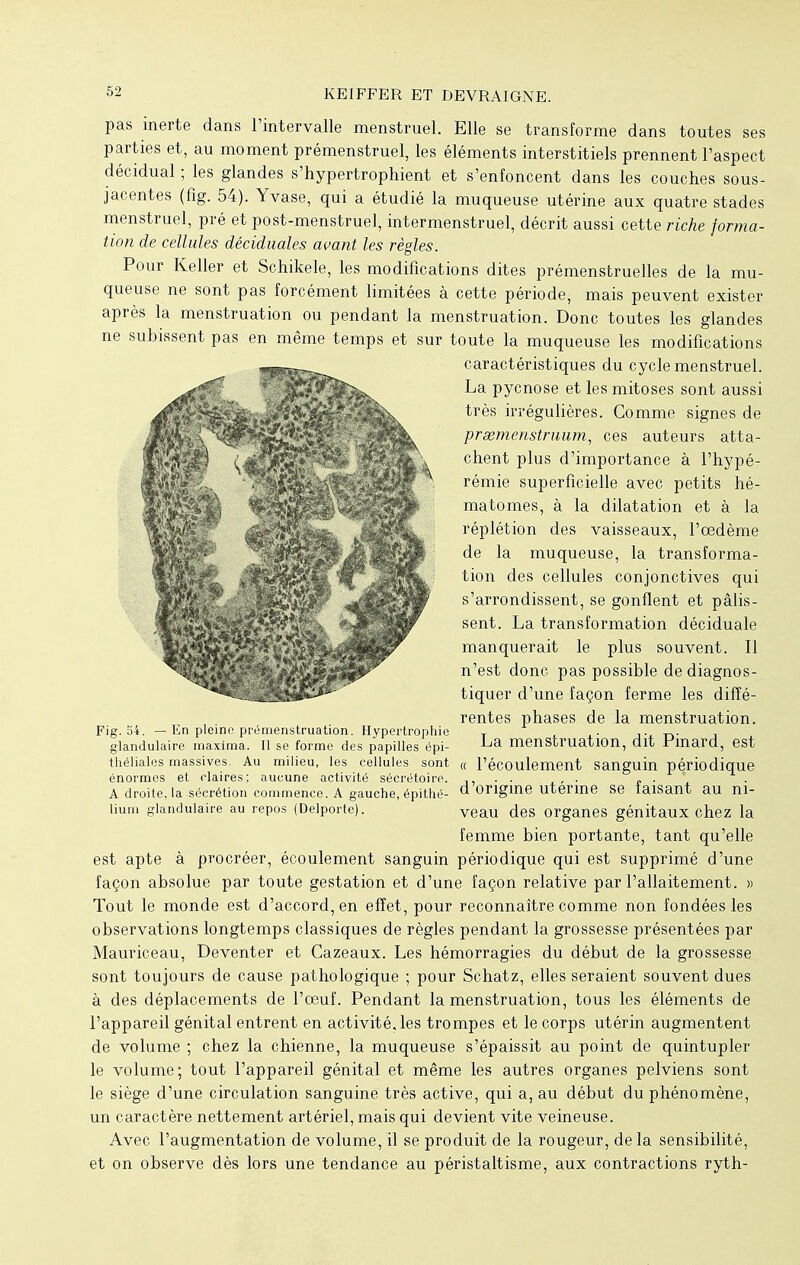 —, . pas inerte dans l'intervalle menstruel. Elle se transforme dans toutes ses parties et, au moment prémenstruel, les éléments interstitiels prennent l'aspect décidual ; les glandes s'hypertrophient et s'enfoncent dans les couches sous- jacentes (fig. 54). Yvase, qui a étudié la muqueuse utérine aux quatre stades menstruel, pré et post-menstruel, intermenstruel, décrit aussi cette riche forma- tion de cellules déciduales avant les règles. Pour Keller et Schikele, les modifications dites prémenstruelles de la mu- queuse ne sont pas forcément limitées à cette période, mais peuvent exister après la menstruation ou pendant la menstruation. Donc toutes les glandes ne subissent pas en même temps et sur toute la muqueuse les modifications caractéristiques du cycle menstruel. La pycnose et les mitoses sont aussi très irrégulières. Comme signes de prœmenstruum, ces auteurs atta- chent plus d'importance à l'hypé- rémie superficielle avec petits hé- matomes, à la dilatation et à la réplétion des vaisseaux, l'œdème de la muqueuse, la transforma- tion des cellules conjonctives qui s'arrondissent, se gonflent et pâlis- sent. La transformation déciduale manquerait le plus souvent. Il n'est donc pas possible de diagnos- tiquer d'une façon ferme les diffé- rentes phases de la menstruation. Fig. 54. — En pleine prëmenstruation. Hypertrophie T ,., p. , glandulaire maxima. Il se forme des papilles épi- ^a menstruation, dit rmard, est théiiaies massives. Au milieu, les cellules sont « l'écoulement sanguin périodique énormes et claires; aucune activité sécrétoire. ., . . . . . , A droite, la sécrétion commence. A gauche, épithé- d Origine utérine se faisant au ni- îium glandulaire au repos (Deiporte). veau des organes génitaux chez la femme bien portante, tant qu'elle est apte à procréer, écoulement sanguin périodique qui est supprimé d'une façon absolue par toute gestation et d'une façon relative par l'allaitement. » Tout le monde est d'accord, en effet, pour reconnaître comme non fondées les observations longtemps classiques de règles pendant la grossesse présentées par Mauriceau, Deventer et Cazeaux. Les hémorragies du début de la grossesse sont toujours de cause pathologique ; pour Schatz, elles seraient souvent dues à des déplacements de l'œuf. Pendant la menstruation, tous les éléments de l'appareil génital entrent en activité, les trompes et le corps utérin augmentent de volume ; chez la chienne, la muqueuse s'épaissit au point de quintupler le volume; tout l'appareil génital et même les autres organes pelviens sont le siège d'une circulation sanguine très active, qui a, au début du phénomène, un caractère nettement artériel, mais qui devient vite veineuse. Avec l'augmentation de volume, il se produit de la rougeur, de la sensibilité, et on observe dès lors une tendance au péristaltisme, aux contractions ryth-