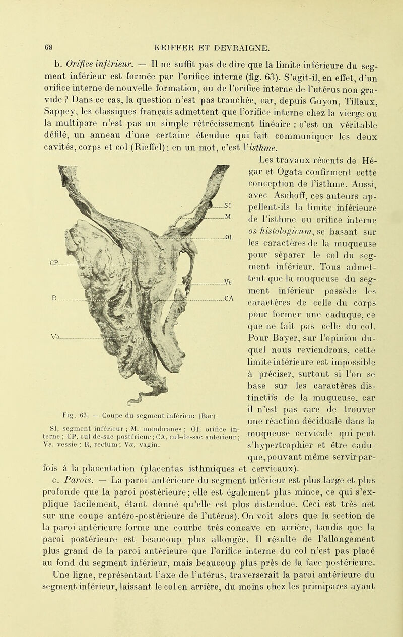 b. Orifice inférieur. — Il ne suffît pas de dire que la limite inférieure du seg- ment inférieur est formée par l'orifice interne (fig. 63). S'agit-il, en effet, d'un orifice interne de nouvelle formation, ou de l'orifice interne de l'utérus non gra- vide ? Dans ce cas, la question n'est pas tranchée, car, depuis Guyon, Tillaux, Sappey, les classiques français admettent que l'orifice interne chez la vierge ou la multipare n'est pas un simple rétrécissement linéaire : c'est un véritable défilé, un anneau d'une certaine étendue qui fait communiquer les deux cavités, corps et col (Rieffel) ; en un mot, c'est Yisthme. Les travaux récents de Hé- gar et Ogata confirment cette conception de l'isthme. Aussi, avec Aschofî, ces auteurs ap- pellent-ils la limite inférieure de l'isthme ou orifice interne os histologicum, se basant sur les caractères de la muqueuse pour séparer le col du seg- ment inférieur. Tous admet- tent que la muqueuse du seg- ment inférieur possède les caractères de celle du corps pour former une caduque, ce que ne fait pas celle du col. Pour Bayer, sur l'opinion du- quel nous reviendrons, cette limite inférieure est impossible à préciser, surtout si l'on se base sur les caractères dis- tinctifs de la muqueuse, car il n'est pas rare de trouver une réaction déciduale dans la muqueuse cervicale qui peut s'hypertrophier et être cadu- que, pouvant même servir par- fois à la placentation (placentas isthmiques et cervicaux). c. Parois. — La paroi antérieure du segment inférieur est plus large et plus profonde que la paroi postérieure; elle est également plus mince, ce qui s'ex- plique facilement, étant donné qu'elle est plus distendue. Ceci est très net sur une coupe antéro-postérieure de l'utérus). On voit alors que la section de la paroi antérieure forme une courbe très concave en arrière, tandis que la paroi postérieure est beaucoup plus allongée. Il résulte de l'allongement plus grand de la paroi antérieure que l'orifice interne du col n'est pas placé au fond du segment inférieur, mais beaucoup plus près de la face postérieure. Une ligne, représentant l'axe de l'utérus, traverserait la paroi antérieure du segment inférieur, laissant le col en arrière, du moins chez les primipares ayant Fig. 63. — Coupe du segment inférieur (Bar). SI, segment inférieur ; M. membranes ; 01, orifice in terne ; CP, eul-de-sac postérieur ; CA, cul-de-sac antérieur Ve, vessie ; R, rectum; Va, vagin.