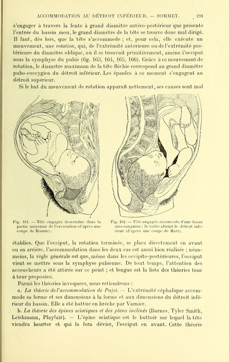 s'engager à travers la fente à grand diamètre antéro-postérieur que présente l'entrée du bassin mou, le grand diamètre de la tête se trouve donc mal dirigé. Il faut, dès lors, que la tête s'accommode ; et, pour cela, elle exécute un mouvement, une rotation, qui, de l'extrémité antérieure ou de l'extrémité pos- térieure du diamètre oblique, où il se trouvait primitivement, amène i'occiput sous la symphyse du pubis (fig. 163, 164, 165, 166). Grâce à ce mouvement de rotation, le diamètre maximum de la tête fléchie correspond au grand diamètre pubo-coccygien du détroit inférieur. Les épaules à ce moment s'engagent au détroit supérieur. Si le but du mouvement de rotation apparaît nettement, ses causes sont mal Fig. 161.—Tète engagée descendue dans la Fig. 162.— Tète engagée recouverte d'une bosse partie moyenne de l'excavation (d'après une séro-sanguine ; la voûte atteint le détroit int'é- coupe de Braune). rieur (d'après une coupe de Mars). établies. Que l'occiput, la rotation terminée, se place directement en avant ou en arrière, l'accommodation dans les deux cas est aussi bien réalisée ; néan- moins, la règle générale est que, même dans les occipito-postérieures, l'occiput vient se mettre sous la symphyse pubienne. De tout temps, l'attention des accoucheurs a été attirée sur ce point ; et longue est la liste des théories tour à tour proposées. Parmi les théories invoquées, nous retiendrons : a. La théorie deVaccommodation de Pajot. — L'extrémité céphalique accom- mode sa forme et ses dimensions à la forme et aux dimensions du détroit infé- rieur du bassin. Elle a été battue en brèche par Varnier. b. La théorie des épines sciatiques et des plans inclinés (Barnes, Tyler Smith, Leishmann, Playfair). — L'épine sciatique est le buttoir sur lequel la tête viendra heurter et qui la fera dévier, l'occiput en avant. Cette théorie