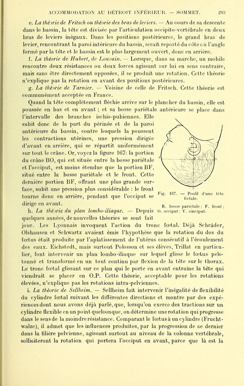 e. La théorie de Fritsek ou théorie des bras de leviers. — Au cours de sa descente dans le bassin, la tête est divisée par l'articulation occipito-vertébrale en deux bras de leviers inégaux. Dans les positions postérieures, le grand bras de levier, rencontrant la paroi intérieure du bassin, serait reporté du côte où l'angle formé par la tête et le bassin est le plus largement ouvert, donc en arrière. f. La théorie de Hubert, de Lonvain. — Lorsque, dans sa marche, un mobile rencontre deux résistances ou deux forces agissant sur lui en sens contraire, mais sans être directement opposées, il se produit une rotation. Cette théorie n'explique pas la rotation en avant des positions postérieures. g. La théorie de Tarnier. — Voisine de celle de Fritsch. Cette théorie est communément acceptée en France. Quand la tête complètement fléchie arrive sur le plancher du bassin, elle est poussée en bas et en avant ; et sa bosse pariétale antérieure se place dans l'intervalle des branches ischio-pubiennes. Elle subit donc de la part du périnée et de la paroi antérieure du bassin, contre lesquels la poussent les contractions utérines, une pression dirigée d'avant en arrière, qui se répartit uniformément sur tout le crâne. Or, voyez la figure 167: la portion du crâne BO, qui est située entre la bosse pariétale et l'occiput, est moins étendue que la portion BF, situé entre la bosse pariétale et le front. Cette dernière portion BF, offrant une plus grande sur- face, subit une pression plus considérable : le front tourne donc en arrière, pendant que l'occiput se dirige en avant. h. La théorie du plan lombo-iliaque. — Depuis quelques années, de nouvelles théories se sont fait jour. Les Lyonnais invoquent l'action du tronc fœtal. Déjà Schràder, Olshausen et Schwartz avaient émis l'hypothèse que la rotation du dos du fœtus était produite par l'aplatissement de l'utérus consécutif à l'écoulement des eaux. Eichstedt, mais surtout Polosson et ses élèves, Trillat en particu- lier, font intervenir un plan lombo-iliaque sur lequel glisse le fœtus pelo- tonné et transformé en un tout continu par flexion de la tête sur le thorax. Le tronc fœtal glissant sur ce plan qui le porte en avant entraîne la tête qui viendrait se placer en O.P. Cette théorie, acceptable pour les rotations élevées, n'explique pas les rotations intra-pelviennes. i. La théorie de Sellheim. — Sellheim fait intervenir l'inégalité de flexibilité du cylindre fœtal suivant les différentes directions et montre par des expé- riences dont nous avons déjà parlé, que, lorsqu'on exerce des tractions sur un cylindre flexible en un point quelconque, on détermine une rotation qui progresse dans le sens de la moindre résistance. Comparant le fœtus à un cylindre (Frucht- walze), il admet que les influences produites, par la progression de ce dernier dans la filière pelvienne, agissant surtout au niveau de la colonne vertébrale, solliciteront la rotation qui portera l'occiput en avant, parce que là est la