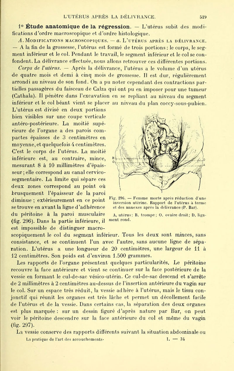 1° Étude anatomique delà régression. — L'utérus subit des modi- fications d'ordre macroscopique et d'ordre histologique. ^.Modifications macroscopiques. — a. L'utérus après la délivrance. — A la fin de la grossesse, l'utérus est formé de trois portions : le corps, le seg- ment inférieur et le col. Pendant le travail, le segment inférieur et le col se con- fondent. La délivrance effectuée,nous allons retrouver ces différentes portions. Corps de Vutérus. — Après la délivrance, l'utérus a le volume d'un utérus de quatre mois et demi à cinq mois de grossesse. Il est dur, régulièrement arrondi au niveau de son fond. On a pu noter cependant des contractions par- tielles passagères du faisceau de Galza qui ont pu en imposer pour une tumeur (Cathala). Il pénètre dans l'excavation en se repliant au niveau du segment inférieur et le col béant vient se placer au niveau du plan coccy-sous-pubien. L'utérus est divisé en deux portions bien visibles sur une coupe verticale antéro-postérieure. La moitié supé- rieure de l'organe a des parois com- pactes épaisses de 3 centimètres en moyenne, et quelquefois 4 centimètres. C'est le corps de l'utérus. La moitié inférieure est, au contraire, mince, mesurant 8 à 10 millimètres d'épais- seur; elle correspond au canal cervico- segmentaire. La limite qui sépare ces deux zones correspond au point où brusquement l'épaisseur de la paroi diminue ; extérieurement en ce point se trouve en avant la ligne d'ad hérence du péritoine à la paroi musculaire (fig. 296). Dans la partie inférieure, il est impossible de distinguer macro- scopiquement le col du segment inférieur. Tous les deux sont minces, sans consistance, et se continuent l'un avec l'autre, sans aucune ligne de sépa- ration. L'utérus a une longueur de 20 centimètres, une largeur de 11 à 12 centimètres. Son poids est d'environ 1.500 grammes. Les rapports de l'organe présentent quelques particularités. Le péritoine recouvre la face antérieure et vient se continuer sur la face postérieure de la vessie en formant le cul-de-sac vésico-utérin. Ce cul-de-sac descend et s'arrête de 2 millimètres à 2 centimètres au-dessus de l'insertion antérieure du vagin sur le col. Sur un espace très réduit, la vessie adhère à l'utérus, mais le tissu con- jonctif qui réunit les organes est très lâche et permet un décollement facile de l'utérus et de la vessie. Dans certains cas, la séparation des deux organes est plus marquée : sur un dessin figuré d'après nature par Bar, on peut voir le péritoine descendre sur la face antérieure du col et même du vagin (fig. 297). La vessie conserve des rapports différents suivant la situation abdominale ou La pratique de l'art des accouchements- I. — 34 Fi 296. — Femme morte après réduction d'une inversion utérine. Rapport de l'utérus à terme et des annexes après la délivrance (P. Bar). A, utérus ment rond. B, trompe; 0. ovaire droit; D, li^a-