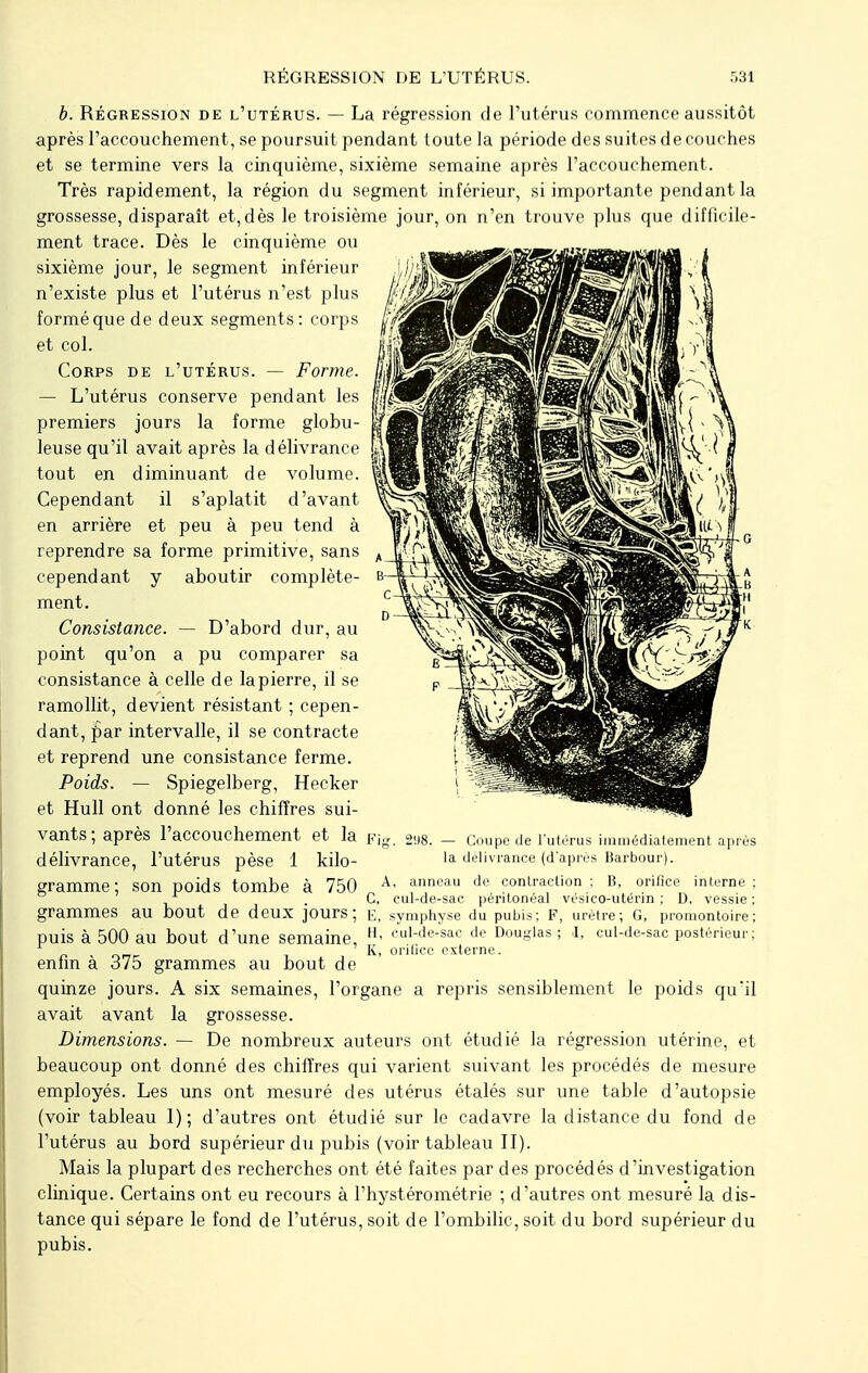 b. Régression de l'utérus. — La régression de l'utérus commence aussitôt après l'accouchement, se poursuit pendant toute la période des suites de couches et se termine vers la cinquième, sixième semaine après l'accouchement. Très rapidement, la région du segment inférieur, si importante pendant la grossesse, disparaît et,dès le troisième jour, on n'en trouve plus que difficile- ment trace. Dès le cinquième ou sixième jour, le segment inférieur n'existe plus et l'utérus n'est plus formé que de deux segments: corps et col. Corps de l'utérus. — Forme. — L'utérus conserve pendant les premiers jours la forme globu- leuse qu'il avait après la délivrance tout en diminuant de volume. Cependant il s'aplatit d'avant en arrière et peu à peu tend à reprendre sa forme primitive, sans cependant y aboutir complète- ment. Consistance. — D'abord dur, au point qu'on a pu comparer sa consistance à celle de la pierre, il se ramollit, devient résistant ; cepen- dant, par intervalle, il se contracte et reprend une consistance ferme. Poids. — Spiegelberg, Hecker et Hull ont donné les chiffres sui- vants; après l'accouchement et la Fig. 298. - Coupe de l'utérus immédiatement après délivrance, l'utérus pèse 1 kilo- la délivrance (d'après Barbour). gramme; son poids tombe à 750 A' anneau de contraction; B, orifice interne; C, cul-de-sac péntonéal vésico-utérm ; D, vessie; grammes au bout de deux jours; e, symphyse du pubis; F, urètre; G, promontoire; puis à 500 au bout d'une semaine, H- cul;de-sac de Douglas; l, cul-de-sac postérieur; , K, orifice externe. enfin a d75 grammes au bout de quinze jours. A six semaines, l'organe a repris sensiblement le poids qu'il avait avant la grossesse. Dimensions. — De nombreux auteurs ont étudié la régression utérine, et beaucoup ont donné des chiffres qui varient suivant les procédés de mesure employés. Les uns ont mesuré des utérus étalés sur une table d'autopsie (voir tableau 1); d'autres ont étudié sur le cadavre la distance du fond de l'utérus au bord supérieur du pubis (voir tableau II). Mais la plupart des recherches ont été faites par des procédés d'investigation clinique. Certains ont eu recours à l'hystérométrie ; d'autres ont mesuré la dis- tance qui sépare le fond de l'utérus, soit de l'ombilic, soit du bord supérieur du pubis.
