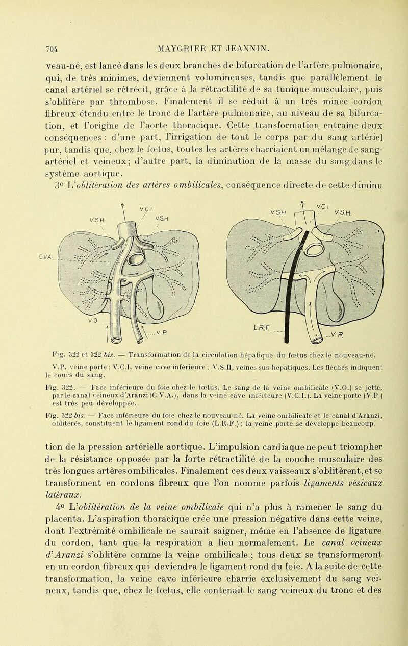 veau-né, est lancé dans les deux branches de bifurcation de l'artère pulmonaire, qui, de très minimes, deviennent volumineuses, tandis que parallèlement le canal artériel se rétrécit, grâce à la rétractilité de sa tunique musculaire, puis s'oblitère par thrombose. Finalement il se réduit à un très mince cordon fibreux étendu entre le tronc de l'artère pulmonaire, au niveau de sa bifurca- tion, et l'origine de l'aorte thoracique. Cette transformation entraîne deux conséquences : d'une part, l'irrigation de tout le corps par du sang artériel pur, tandis que, chez le foetus, toutes les artères charriaient un mélange de sang- artériel et veineux; d'autre part, la diminution de la masse du sang dans le système aortique. 3° h''oblitération des artères ombilicales, conséquence directe de cette diminu Fig. 322 et 322 bis. — Transformation de la circulation hépatique du fœtus chez le nouveau-né. V.P, veine porte ; V. CI, veine cave inférieure; Y. S. H, veines sus-hépatiques. Les flèches indiquent le cours du sang. Fig. 322. — Face inférieure du foie chez le fœtus. Le sang de la veine ombilicale (V.O.) se jette, par le canal \ eineux d'Aranzi (C.V.A.), dans la veine cave inférieure (V.G.I.). La veine porte (V.P.) est très peu développée. Fig. 322 bis. — Face inférieure du foie chez le nouveau-né. La veine ombilicale et le canal d'Aranzi, oblitérés, constituent le ligament rond du foie (L.R.F.) ; la veine porte se développe beaucoup. tion delà pression artérielle aortique. L'impulsion cardiaque ne peut triompher de la résistance opposée par la forte rétractilité de la couche musculaire des très longues artères ombilicales. Finalement ces deux vaisseaux s'oblitèrent, et se transforment en cordons fibreux que l'on nomme parfois ligaments vésicaux latéraux. 4° h''oblitération de la veine ombilicale qui n'a plus à ramener le sang du placenta. L'aspiration thoracique crée une pression négative dans cette veine, dont l'extrémité ombilicale ne saurait saigner, même en l'absence de ligature du cordon, tant que la respiration a lieu normalement. Le canal veineux d'Aranzi s'oblitère comme la veine ombilicale ; tous deux se transformeront en un cordon fibreux qui deviendra le ligament rond du foie. A la suite de cette transformation, la veine cave inférieure charrie exclusivement du sang vei- neux, tandis que, chez le foetus, elle contenait le sang veineux du tronc et des