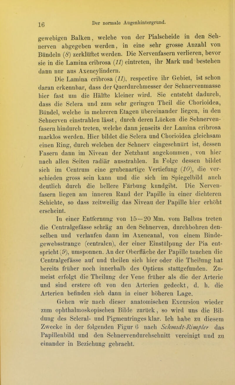 gewebigen Balken, welche von der Piaischeide in den Seh- nerven abgegeben werden, in eine sehr grosse Anzahl von Bündeln (8) zerklüftet werden. Die Nervenfasern verlieren, bevor sie in die Lamina cribrosa {11) eintreten, ihr Mark und bestehen dann nur aus Axencylindern. Die Lamina cribrosa (11), respective ihr Gebiet, ist schon daran erkennbar, dass der Querdurchmesser der Sehnervenmasse hier fast um die Hälfte kleiner wird. Sie entsteht dadurch, dass die Sclera und zum sehr geringen Theil die Chorioidea, Bündel, welche in mehreren Etagen übereinander liegen, in den Sehnerven einstrahlen lässt, durch deren Lücken die Sehnerven- fasern hindurch treten, welche dann jenseits der Lamina cribrosa raarklos werden. Hier bildet die Sclera und Chorioidea gleichsam einen Ring, durch welchen der Sehnerv eingeschnürt ist, dessen Fasern dann im Niveau der Netzhaut angekommen, von hier nach allen Seiten radiär ausstrahlen. In Folge dessen bildet sich im Centrum eine grubenartige Vertiefung (10), die ver- schieden gross sein kann und die sich im Spiegelbild auch deutlich durch die hellere Färbung kundgibt. Die Nerven- fasern liegen am inneren Rand der Papille in einer dichteren Schichte, so dass zeitweilig das Niveau der Papille hier erhöht erscheint. In einer Entfernung von 15—20 Mm. vom Bulbus treten die Centralgefässe schräg an den Sehnerven, durchbohren den- selben und verlaufen dann im Axencanal, von einem Binde- gewebsstrange (centralen), der einer Einstülpung der Pia ent- spricht (5), umsponnen. An der Oberfläche der Papille tauchen die Centralgefässe auf und theilen sich hier oder die Theüung hat bereits früher noch innerhalb des Opticus stattgefunden. Zu- meist erfolgt die Theilung der Vene früher als die der Arterie und sind erstere oft von den Arterien gedeckt, d. h. die Arterien befinden sich dann in einer höheren Lage, Gehen wür nach dieser anatomischen Excursion wieder zum ophthalmoskopischen Bilde zurück, so wird uns die Bil- dung des Scleral- und Pigmentringes klar. Ich habe zu diesem Zwecke in der folgenden Figur G nach Schmidt-Rimpler das Papillenbild und den Sehnervendurchschnitt vereinigt und zu einander in Beziehung gebracht.