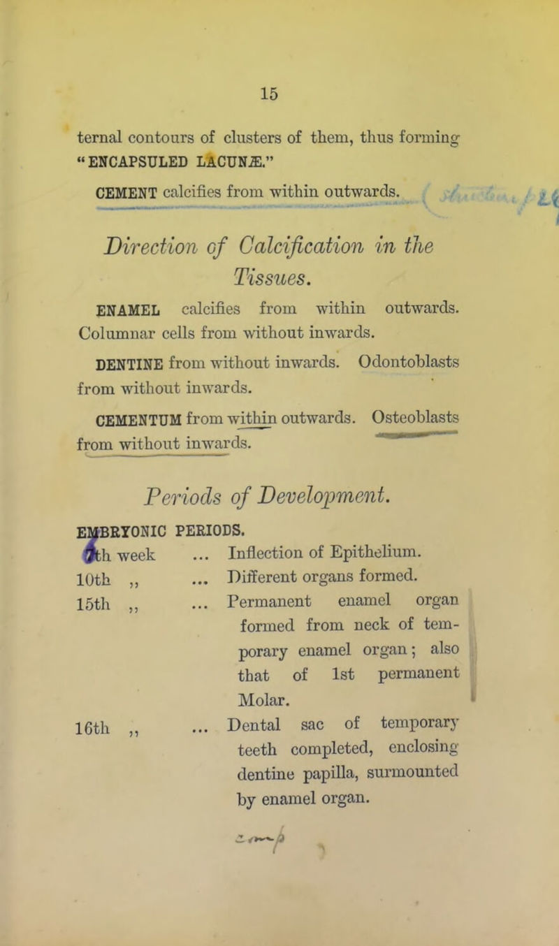 ternal contours of clusters of them, thus forming “ENCAPSULED LACUN2E.” CEMENT calcifies from within outwards. Direction 0/ Calcification in the ENAMEL calcifies from within outwards. Columnar cells from without inwards. DENTINE from without inwards. Odontoblasts from without inwards. CEMENTUM from within outwards. Osteoblasts from without inwards. Periods of Development. EMBRYONIC PERIODS. ^h week ... Inflection of Epithelium. 10th ,, ... Different organs formed. 15th ,, ... Permanent enamel organ Tissues. formed from neck of tem- porary enamel organ; also that of 1st permanent Molar. 16th ,, ... Dental sac of temporary teeth completed, enclosing dentine papilla, surmounted by enamel organ.