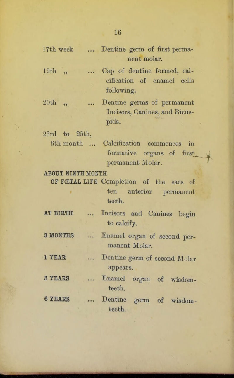 17th week ... Dentine germ of first perma- nent molar. 19th ,, ... Cap of dentine formed, cal- cification of enamel cells following. 20th ,, ... Dentine germs of permanent Incisors, Canines, and Bicus- pids. 23rd to 25th, 6th month ... Calcification commences in formative organs of first, permanent Molar. ABOUT NINTH MONTH OF FCETAL LIFE Completion of the sacs of ten anterior permanent teeth. AT BIETH ... Incisors and Canines begin to calcify. 3 MONTHS ... Enamel organ of second per- manent Molar. 1 YEAR ... Dentine germ of second Molar appears. 3 YEARS ... Enamel organ of wisdom- teeth. 6 YEARS ... Dentine germ of wisdom- teeth.