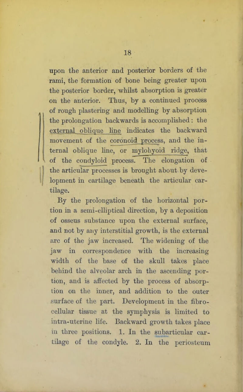 upon the anterior and posterior borders of the rami, the formation of bone being greater upon the posterior border, whilst absorption is greater on the anterior. Thus, by a continued process of rough plastering and modelling by absorption the prolongation backwards is accomplished: the external oblique line indicates the backward movement of the coronoid process, and the in- ternal oblique line, or mylohyoid ridge, that I of the condyloid process. The elongation of the articular processes is brought about by deve- lopment in cartilage beneath the articular car- tilage. By the prolongation of the horizontal por- tion in a semi-elliptical direction, by a deposition of osseus substance upon the external surface, and not by any interstitial growth, is the external arc of the jaw increased. The widening of the jaw in correspondence with the increasing width of the base of the skull takes place behind the alveolar arch in the ascending por- tion, and is affected by the process of absorp- tion on the inner, and addition to the outer surface of the part. Development in the fibro- cellular tissue at the symphysis is limited to intra-uterine life. Backward growth takes place in three positions. 1. In the subarticular car- tilage of the condyle. 2. In the periosteum