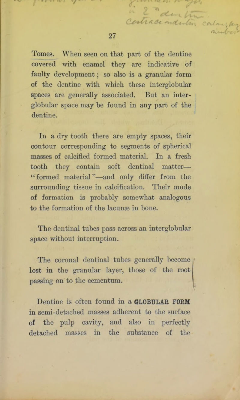 Tomes. When seen on that part of the dentine covered with enamel they are indicative of faulty development; so also is a granular form of the dentine with which these interglobular spaces are generally associated. But an inter- globular space may be found in any part of the dentine. In a dry tooth there are empty spaces, their contour corresponding to segments of spherical masses of calcified formed material. In a fresh tooth they contain soft dentinal matter— “formed material”—and only differ from the surrounding tissue in calcification. Their mode of formation is probably somewhat analogous to the formation of the lacunje in bone. The dentinal tubes pass across an interglobular space without interruption. The coronal dentinal tubes generally become • lost in the granular layer, those of the root passing on to the cementum. Dentine is often found in a GLOBULAR FORM in semi-detached masses adherent to the surface of the pulp cavity, and also in perfectly detached masses in the substance of the vs'* ^ i c f: 9