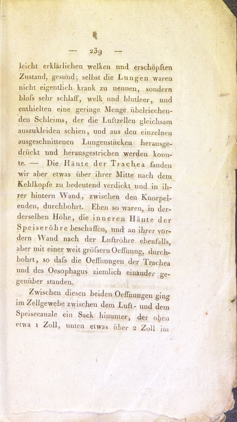 J. lelclit erklärlichen -welken und erschöpften Zustand, gesund; selbst die Lungen waren nicht eigentlich krank zu nennen, sondern hlofs sehr schlaff, welk und blutleer, und enthielten eine geringe Menge übelriechen- den Schleims, der die Lullzellen gleichsam auszukleideu schien, und aus den einzelnen ausgeschnittenen Luugenslücken herausge- drückt und herausgeslrichen werden konn- te. — Die Häute der Trachea fanden wir aber etwas über ihrer Mitte nach dem Kehlkopfe zu bedeutend verdickt und in ih- rer hintern Wand, zwischen den Knorpel- enden, durchbohrt. Eben so waren, in der- derselben Höhe, die inneren Haute der Speiseröhre beschaffen, und an ihrer vor- dem Wand nach der Luftröhre ebenfalls, aber mit einer weit gröfsern Oeffnung, durch- bohrt, so dafs die Oeffuungen de.r Trachea und des Oesophagus' ziemlich einander »e- - genüber standen. Zwischen diesen beiden Oeffnungen ging im Zellgewebe zwischen dem Luft- und dem Speisecanale ein Sack hinunter, der o^en etwa 1 Zoll, unten etwas über 2 Zoll lui