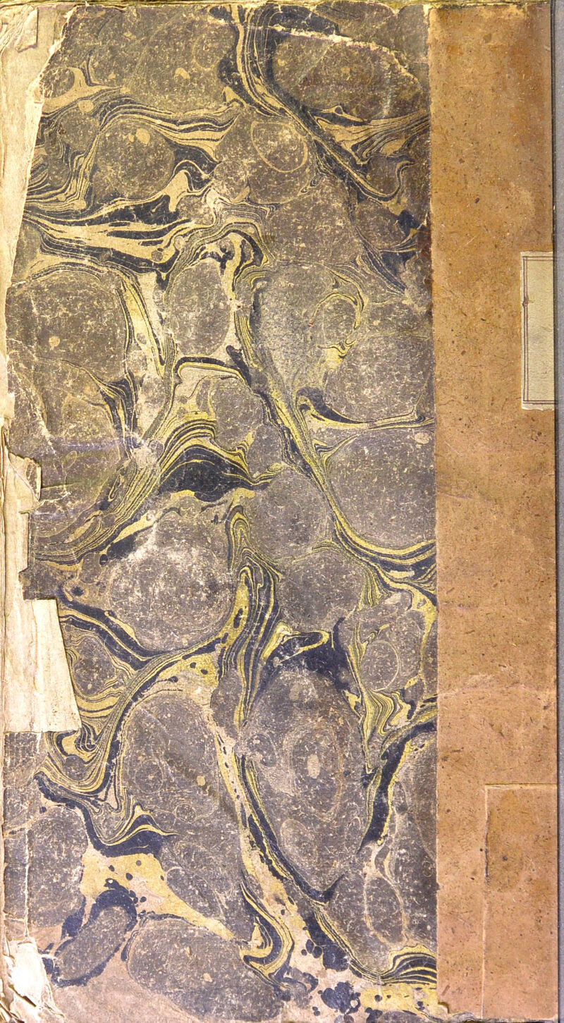 tQ|ftT^?yfcCB08 wSRH IHK llf ■Hr 1 ^