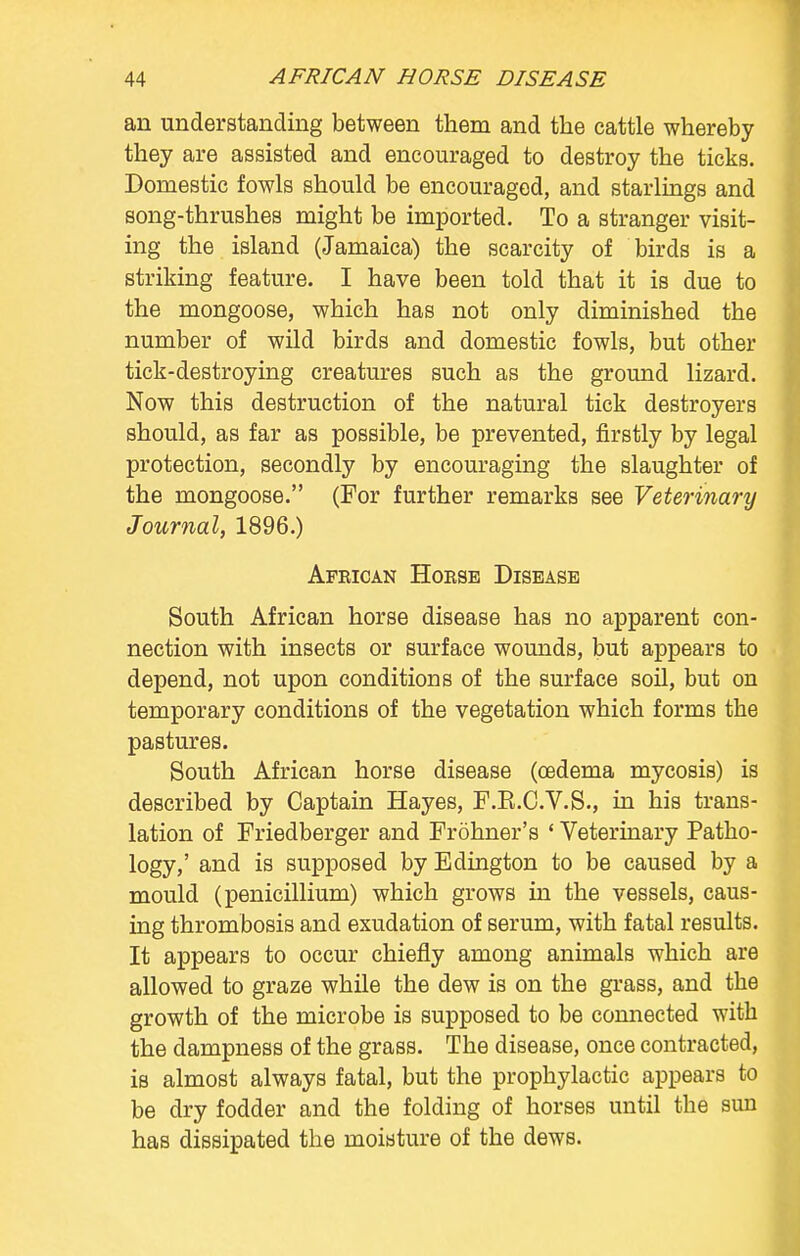 an understanding between them and the cattle whereby they are assisted and encouraged to destroy the ticks. Domestic fowls should be encouraged, and starlings and song-thrushes might be imported. To a stranger visit- ing the island (Jamaica) the scarcity of birds is a striking feature. I have been told that it is due to the mongoose, which has not only diminished the number of wild birds and domestic fowls, but other tick-destroying creatures such as the ground lizard. Now this destruction of the natural tick destroyers should, as far as possible, be prevented, firstly by legal protection, secondly by encouraging the slaughter of the mongoose. (For further remarks see Veterinary Journal, 1896.) Afkican Hoese Disease South African horse disease has no apparent con- nection with insects or surface wounds, but appears to depend, not upon conditions of the surface soil, but on temporary conditions of the vegetation which forms the pastures. South African horse disease (oedema mycosis) is described by Captain Hayes, F.R.C.V.S., in his trans- lation of Friedberger and Frohner's ' Veterinary Patho- logy,' and is supposed by Edington to be caused by a mould (penicillium) which grows in the vessels, caus- ing thrombosis and exudation of serum, with fatal results. It appears to occur chiefly among animals which are allowed to graze while the dew is on the grass, and the growth of the microbe is supposed to be connected with the dampness of the grass. The disease, once contracted, is almost always fatal, but the prophylactic appears to be dry fodder and the folding of horses until the sun has dissipated the moisture of the dews.