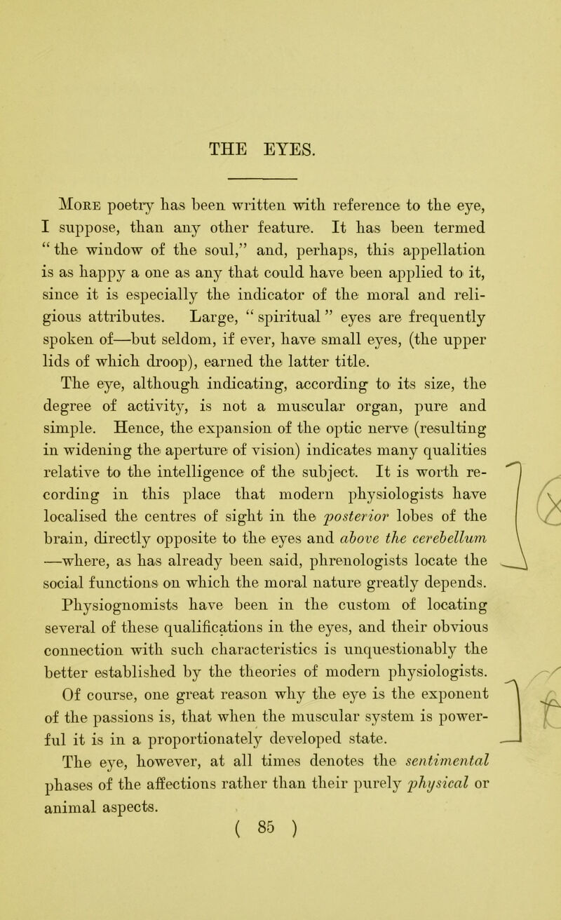 More poetry lias been written with reference to the eye, I suppose, than any other feature. It has been termed “ the window of the soul,” and, perhaps, this appellation is as happy a one as any that could have been applied tO' it, since it is especially the indicator of the moral and reli- gious attributes. Large, “ spiritual ” eyes are frequently spoken of—but seldom, if ever, have small eyes, (the upper lids of which droop), earned the latter title. The eye, although indicating, according' to> its size, the degree of activity, is not a muscular organ, pure and simple. Hence, the expansion of the optic nerve (resulting in widening the aperture of vision) indicates many qualities relative to the intelligence of the subject. It is worth re- cording in this place that modern physiologists have localised the centres of sight in the posterior lobes of the brain, directly opposite to the eyes and above the cerebellum —where, as has already been said, phrenologists locate the social functions on which the moral nature greatly depends. Physiognomists have been in the custom of locating several of these qualifications in the eyes, and their obvious connection with such characteristics is unquestionably the better established by the theories of modern physiologists. Of course, one great reason why the eye is the exponent of the passions is, that when the muscular system is power- ful it is in a proportionately developed state. The eye, however, at all times denotes the sentimental phases of the affections rather than their purely physical or animal aspects.