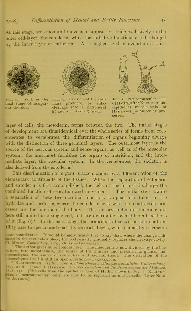 At this stage, sensation and movement appear to reside exclusively in the outer cell-layer, the ectoderm, while the nutritive functions are discharged by the inner layer or entoderm. At a higher level of evolution a third Fig. 4. Yolk in the Fig. 5. Division of the cell- final stage of fissipar- mass produced by yolk- ous division. cleavage into a peripheral (c) and a central (d) layer. Fig. 6. Neuromuscular cells of Hydra,after Kleinenberg (epithelial muscle- cells of Hertwig). m Muscular^pro- cesses. layer of cells, the mesoderm, forms between the two. The initial stages of development are thus identical over the whole series of forms from coel- enterates to vertebrates, the differentiation of organs beginning always with the distinction of three germinal layers. The outermost layer is the source of the nervous system and sense-organs, as well as of the muscular system ; the innermost furnishes the organs of nutrition; and the inter- mediate layer, the vascular system. In the vertebrates, the skeleton is also derived from the ectoderm.1 This discrimination of organs is accompanied by a differentiation of the elementary contituents of the tissues. When the separation of ectoderm and entoderm is first accomplished, the cells of the former discharge the combined function of sensation and movement. The initial step toward a separation of these two cardinal functions is apparently taken in the hydridae and medusae, where the ectoderm cells send out contractile pro- cesses into the interior of the body. The sensory and motor functions are here still united in a single cell, but are distributed over different portions of it (Fig. 6).2 In the next stage, the properties of sensation and contrac- tility pass to special and spatially separated cells, while connective elements more complicated. It would be more nearly true to say that, where the change indi- cated in the text takes place, the body-cavity gradually replaces the cleavage-cavity. Cf. Mi not, /embryology, 1897, ch. ix.—Translator. 1 The author gives no references here. The mesoderm is now divided, by the best writers, into mesothelium, the source of the muscles and mesodermic glands, and mesenchyma, the source of connective and skeletal tissue. The derivation of the mesenchyma itself is still an open question.—TRANSLATOR. 2 Kr.EINKNBKRG, Hydra, rinr anatomist h-ciitwit'■klungsQfsi /lirlitlitha Untersttchung > <7-'. 21 ff. O and K. Hkrtwio, Has S't'n t usvstt-m mid die Sinnesoreane dtr Medusen, •8/8. 157 [The cells from tin- epithelial layer of Hydra shown in Fig. (> (Ki.kinen Berg's ' neuromuscular' cells) :ir-.- now to be regarded as muscle-cells. Later Nolo by Author.)