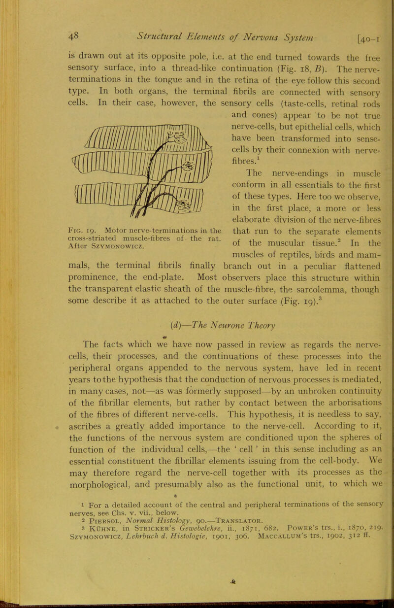 is drawn out at its opposite pole, i.e. at the end turned towards the free sensory surface, into a thread-like continuation (Fig. 18, B). The nerve- terminations in the tongue and in the retina of the eye follow this second type. In both organs, the terminal fibrils are connected with sensory cells. In their case, however, the sensory cells (taste-cells, retinal rods and cones) appear to be not true nerve-cells, but epithelial cells, which have been transformed into sense- cells by their connexion with nerve- fibres.1 The nerve-endings in muscle conform in all essentials to the first of these types. Here too we observe, in the first place, a more or less elaborate division of the nerve-fibres that run to the separate elements of the muscular tissue.2 In the muscles of reptiles, birds and mam- branch out in a peculiar flattened Fig. 19. Motor nerve-terminations in the cross-striated muscle-fibres of the rat. After Szymonowicz. mals, the terminal fibrils prominence, the end-plate finally Most observers place this structure within the transparent elastic sheath of the muscle-fibre, the sarcolemma, though some describe it as attached to the outer surface (Fig. 19).3 (d)—The Neurone Theory The facts which we have now passed in review as regards the nerve- cells, their processes, and the continuations of these processes into the peripheral organs appended to the nervous system, have led in recent years to the hypothesis that the conduction of nervous processes is mediated, in many cases, not—as was formerly supposed—by an unbroken continuity of the fibrillar elements, but rather by contact between the arborisations of the fibres of different nerve-cells. This hypothesis, it is needless to say, ascribes a greatly added importance to the nerve-cell. According to it, the functions of the nervous system are conditioned upon the spheres of function of the individual cells,—the ' cell' in this sense including as an essential constituent the fibrillar elements issuing from the cell-body. We may therefore regard the nerve-cell together with its processes as the morphological, and presumably also as the functional unit, to which we • 1 For a detailed account of the central and peripheral terminations of the sensory nerves, see Chs. v. vii., below. 2 Piersol, Normal Histology, 90.—Translator. 3 KOhne, in Stricker's Gewebelchre, ii., 1871, 682. Power's trs., i., 1870, 219. Szymonowicz, Lehrbuch d. Histologic 1901, 306. Maccallum's trs., 1902, 312 ff.