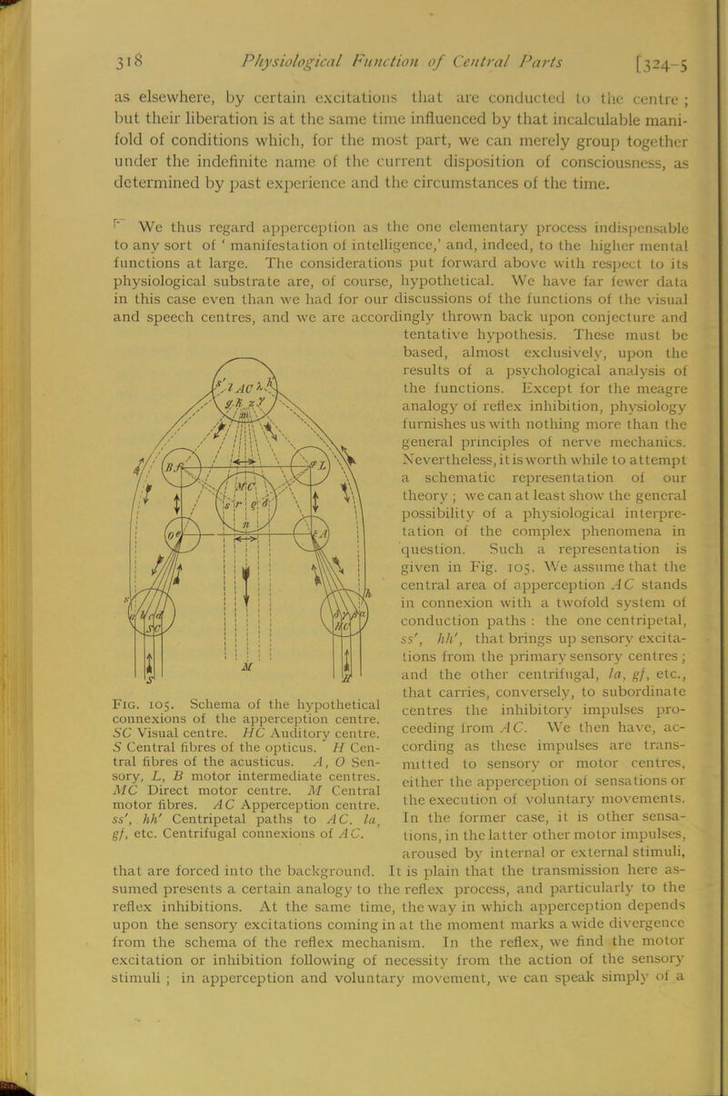 as elsewhere, by certain excitations that are conducted to the centre ; but their liberation is at the same time influenced by that incalculable mani- fold of conditions which, for the most part, we can merely group together under the indefinite name of the current disposition of consciousness, as determined by past experience and the circumstances of the time. r' We thus regard apperception as the one elementary process indispensable to any sort of ' manifestation of intelligence,' and, indeed, to the higher mental functions at large. The considerations put forward above with respect to its physiological substrate are, of course, hypothetical. We have far fewer data in this case even than we had for our discussions of the functions of the visual and speech centres, and we are accordingly thrown back upon conjecture and tentative hypothesis. These must be based, almost exclusively, upon the results of a psychological analysis of the functions. Except for the meagre analogy of reflex inhibition, physiology furnishes us with nothing more than the general principles of nerve mechanics. Nevertheless,itisworth while to attempt a schematic representation of our theory ; we can at least show the general possibility of a physiological interpre- tation of the complex phenomena in question. Such a representation is given in Fig. 105. We assume that the central area of apperception AC stands in connexion with a twofold system of conduction paths : the one centripetal, ss', hh', that brings up sensory excita- tions from the primary sensory centres ; and the other centrifugal, la, gf, etc., that carries, conversely, to subordinate centres the inhibitory impulses pro- ceeding lrom AC. We then have, ac- cording as these impulses are trans- mitted to sensory or motor centres, either the apperception of sensations or the execution of voluntary movements. In the former case, it is other sensa- tions, in the latter other motor impulses, Fig. 105. Schema of the hypothetical connexions of the apperception centre. SC Visual centre. HC Auditory centre. S Central fibres of the opticus. H Cen- tral fibres of the acusticus. A, 0 Sen- sory, L, B motor intermediate centres. MC Direct motor centre. M Central motor fibres. AC Apperception centre. ss', hh' Centripetal paths to AC. la gf, etc. Centrifugal connexions of A C. aroused by internal or external stimuli, that are forced into the background. It is plain that the transmission here as- sumed presents a certain analogy to the reflex process, and particularly to the reflex inhibitions. At the same time, the way in which apperception depends upon the sensory excitations coming in at the moment marks a wide divergence from the schema of the reflex mechanism. In the reflex, we find the motor excitation or inhibition following of necessity from the action of the sensory stimuli ; in apperception and voluntary movement, we can speak simply ol a