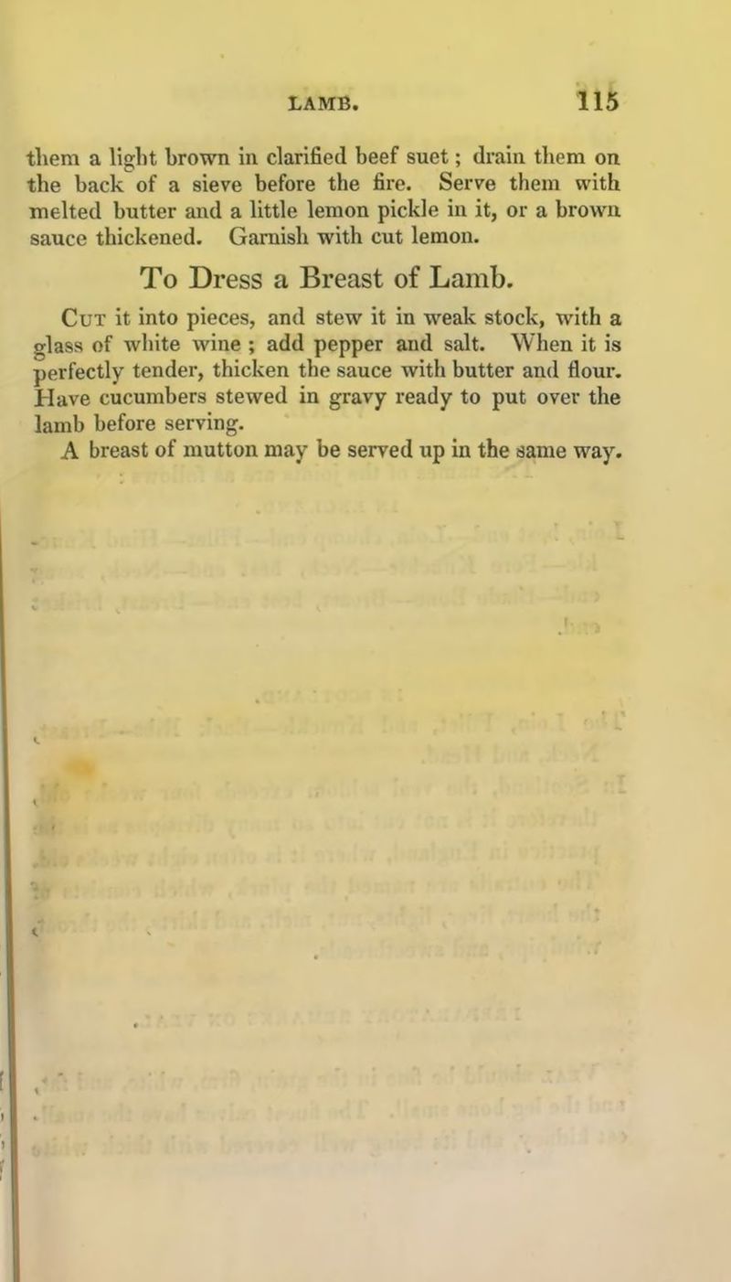 them a light brown in clarified beef suet; drain them on the back of a sieve before the fire. Serve them with melted butter and a little lemon pickle in it, or a brown sauce thickened. Garnish with cut lemon. To Dress a Breast of Lamb. Cut it into pieces, and stew it in weak stock, with a glass of white wine ; add pepper and salt. When it is perfectly tender, thicken the sauce with butter and flour. Have cucumbers stewed in gravy ready to put over the lamb before serving. A breast of mutton may be served up in the same way.