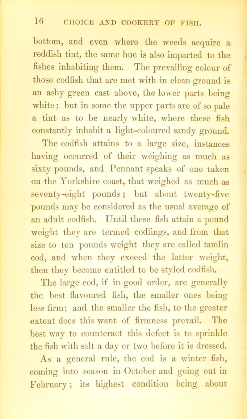 bottom, and even where the weeds acquire a reddish tint, the same hue is also imparted to the fishes inhabiting them. The prevailing colour of those codfish that are met with in clean ground is an ashy green cast above, the lower parts being white; but in some the upper parts are of so pale a tint as to be nearly white, where these fish constantly inhabit a light-coloured sandy ground. The codfish attains to a lai'ge size, instances having occurred of their weighing as much as sixty pounds, and Pennant speaks of one taken on the Yorkshire coast, that weighed as much as seventy-eight pounds; but about twenty-five pounds may be considered as the usual average of an adult codfish. Until these fish attain a pound weight they are termed codlings, and from that size to ten pounds weight they are called tamlin cod, and when they exceed the latter weight, then they become entitled to be styled codfish. The large cod, if in good order, are generally the best flavoured fish, the smaller ones being less firm; and the smaller the fish, to- the greater extent does this want of firmness prevail. The best way to counteract this defect is to sprinkle the fish with salt a day or two before it is dressed. As a general rule, the cod is a winter fish, coming into season in October and going out in February; its highest condition being about