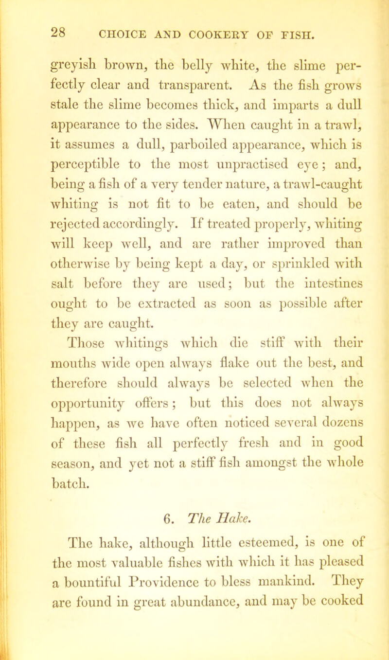 greyish brown, the belly white, the slime per- fectly clear and transparent. As the fish grows stale the slime becomes thick, and imparts a dull appearance to the sides. When caught in a trawl, it assumes a dull, parboiled appearance, which is perceptible to the most unpractised eye; and, being a fish of a very tender nature, a trawl-caught whiting is not fit to be eaten, and should be rejected accordingly. If treated properly, whiting will keep well, and are rather improved than otherwise by being kept a day, or sprinkled with salt before they are used; but the intestines ought to be extracted as soon as possible after they are caught. Those whitings which die stiff with their mouths wide open always flake out the best, and therefore should always be selected when the opportunity offers; but this does not always happen, as we have often noticed several dozens of these fish all perfectly fresh and in good season, and yet not a stiff fish amongst the whole batch. 6. The Hake. The hake, although little esteemed, is one of the most valuable fishes with which it has pleased a bountiful Providence to bless mankind. They are found in great abundance, and may be cooked