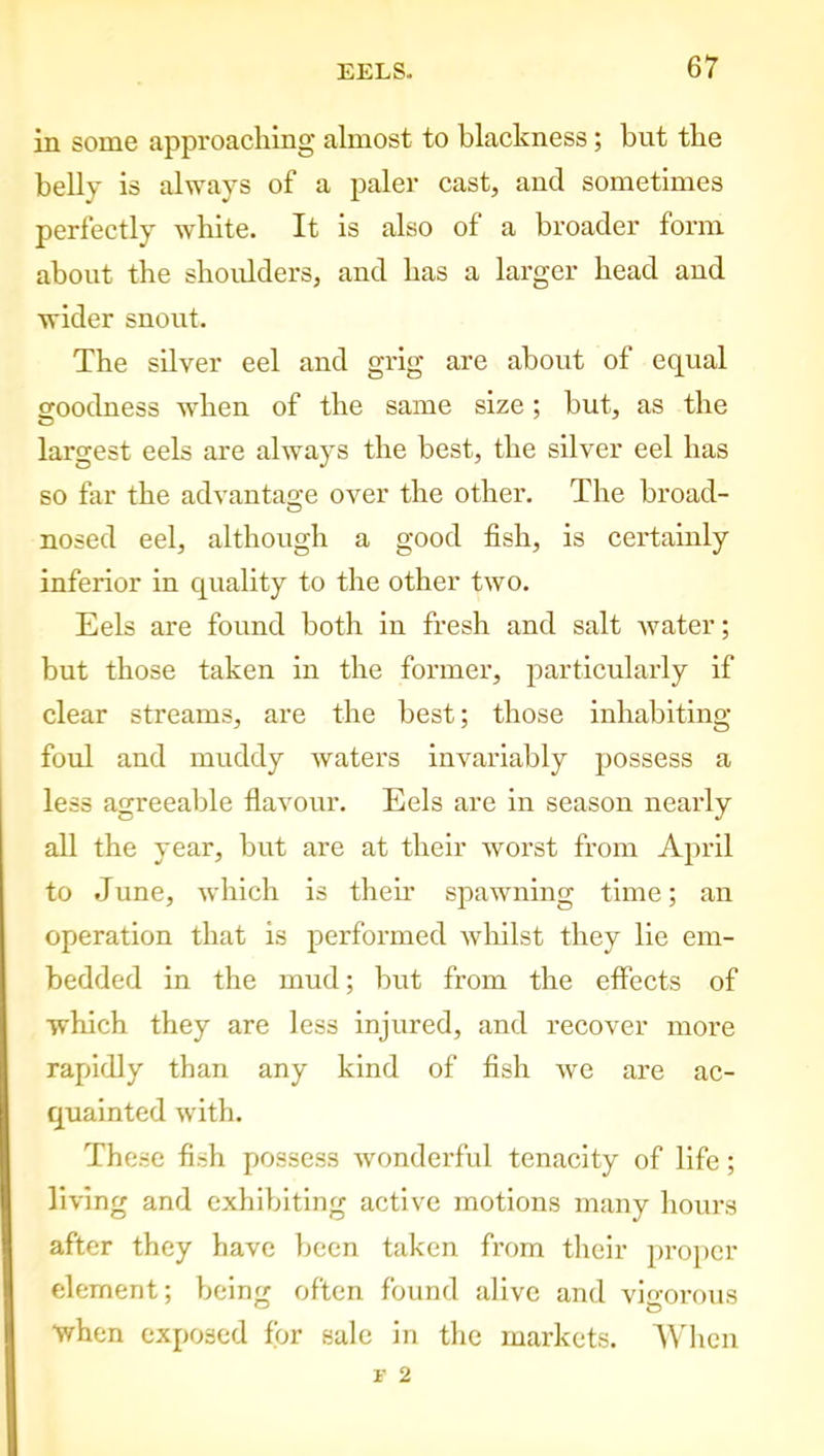 in some approaching almost to blackness; but the belly is always of a paler cast, and sometimes perfectly white. It is also of a broader form about the shoulders, and has a larger head and wider snout. The silver eel and grig are about of equal goodness when of the same size; but, as the largest eels are always the best, the silver eel has so far the advantage over the other. The broad- nosed eel, although a good fish, is certainly inferior in quality to the other two. Eels are found both in fresh and salt water; but those taken in the former, particularly if clear streams, are the best; those inhabiting fold and muddy waters invariably possess a less agreeable flavour. Eels are in season nearly all the year, but are at their worst from April to June, which is their spawning time; an operation that is performed whilst they lie em- bedded in the mud; but from the effects of which they are less injured, and recover more rapidly than any kind of fish we are ac- quainted with. These fish possess wonderful tenacity of life; living and exhibiting active motions many hours after they have been taken from their proper element; being often found alive and vigorous when exposed for sale in the markets. When