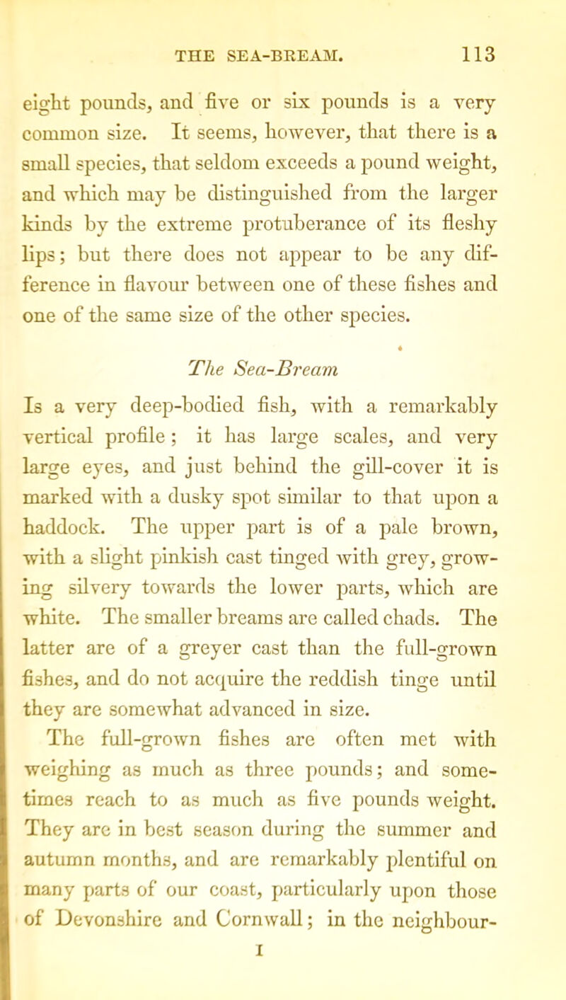 eight pounds, and five or six pounds is a very- common size. It seems, however, that there is a small species, that seldom exceeds a pound weight, and which may be distinguished from the larger kinds by the extreme protuberance of its fleshy lips; but there does not appear to be any dif- ference in flavour between one of these fishes and one of the same size of the other species. The Sea-Bream Is a very deep-bodied fish, with a remarkably vertical profile ; it has large scales, and very large eyes, and just behind the gill-cover it is marked with a dusky spot similar to that upon a haddock. The upper part is of a pale brown, with a slight pinkish cast tinged with grey, grow- ing silvery towards the lower parts, which are white. The smaller breams are called chads. The latter are of a greyer cast than the full-grown fishes, and do not acquire the reddish tinge until they are somewhat advanced in size. The full-grown fishes are often met with weighing as much as three pounds; and some- times reach to as much as five pounds weight. They arc in best season during the summer and autumn months, and are remarkably plentiful on many parts of our coast, particularly upon those of Devonshire and Cornwall; in the neighbour- I