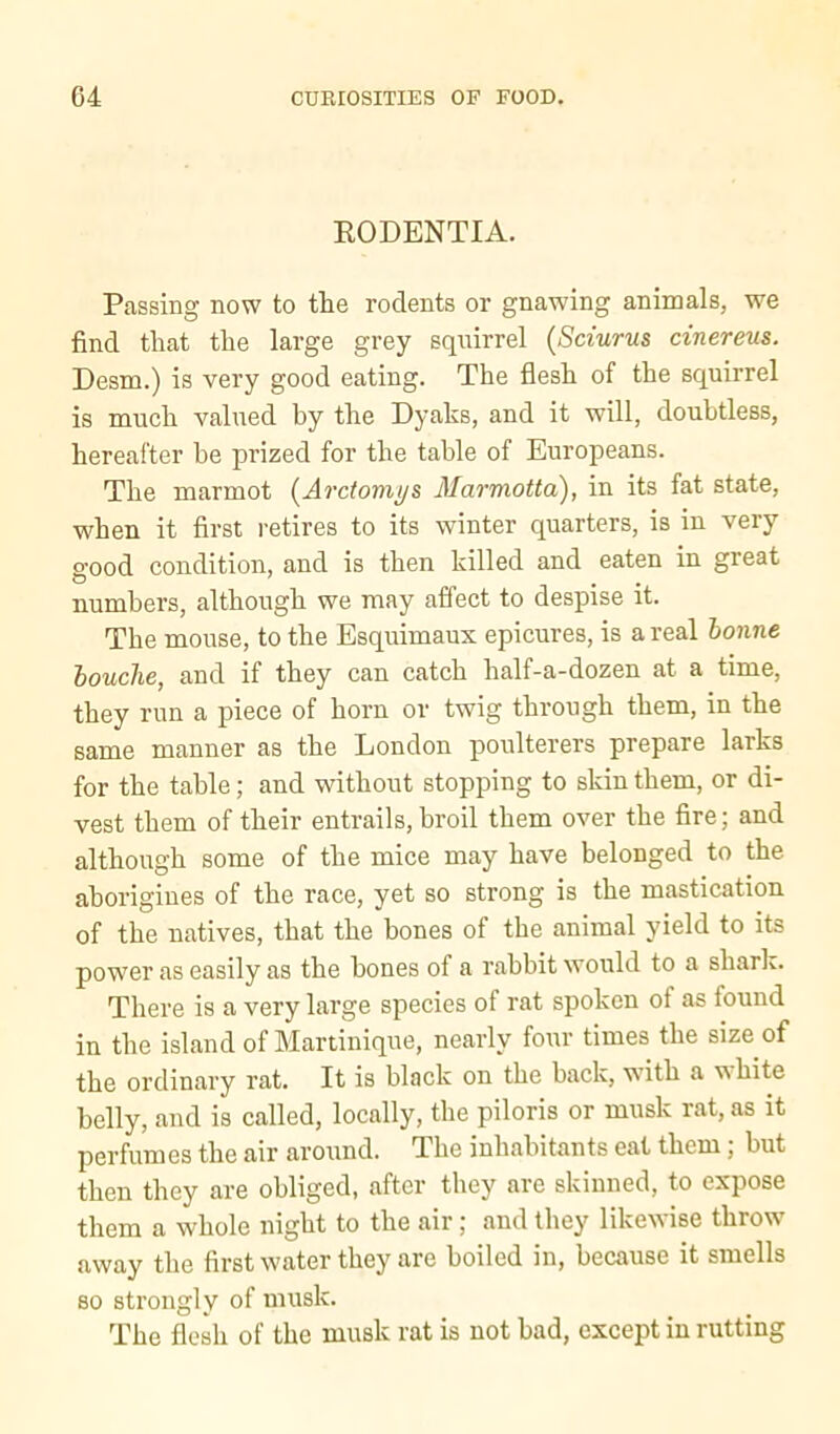 RODENTIA. Passing now to the rodents or gnawing animals, we find that the large grey squirrel (Sciurus cinereus. Desm.) is very good eating. The flesh of the squirrel is much valued by the Dyahs, and it will, doubtless, hereafter he prized for the table of Europeans. The marmot [Arctomi/s Marmotta), in its fat state, when it first retires to its winter quarters, is in very good condition, and is then killed and eaten in great numbers, although we may affect to despise it. The mouse, to the Esquimaux epicures, is areal lonne touche, and if they can catch half-a-dozen at a time, they run a piece of horn or twig through them, in the same manner as the London poulterers prepare larks for the table; and wdthout stopping to skin them, or di- vest them of their entrails, broil them over the fire; and although some of the mice may have belonged to the aborigines of the race, yet so strong is the mastication of the natives, that the bones of the animal yield to its power as easily as the bones of a rabbit would to a shark. There is a very large species of rat spoken of as found in the island of Martinique, nearly four times the size of the ordinary rat. It is black on the back, with a vs bite belly, and is called, locally, the piloris or musk rat, as it perfumes the air around. The inhabitants eat them; but then they are obliged, after they are skinned, to expose them a whole night to the air; and they likewise throw away the first water they are boiled in, because it smells so strongly of musk. The flesh of the musk rat is not bad, except in rutting