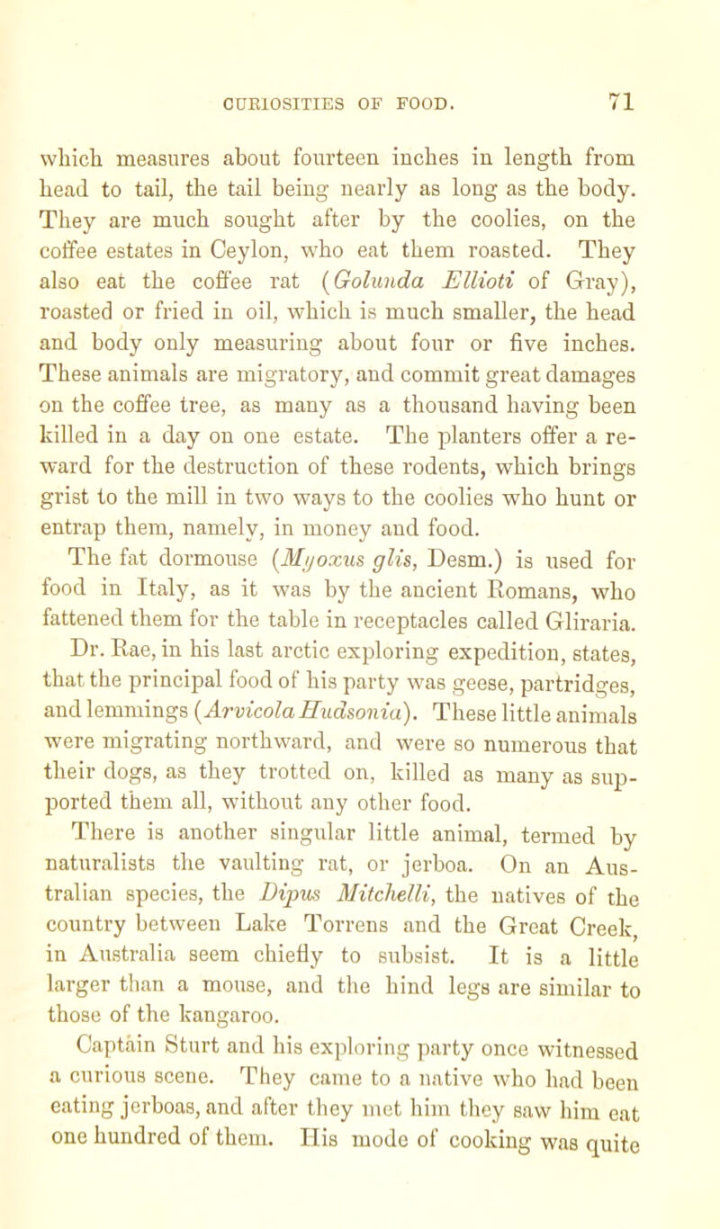 which measures about fourteen inches in length from head to tail, the tail being nearly as long as the body. They are much sought after by the coolies, on the coffee estates in Ceylon, who eat them roasted. They also eat the coffee rat (Golunda Ellioti of Gray), roasted or fried in oil, which is much smaller, the head and body only measuring about four or five inches. These animals are migratory, and commit great damages on the coffee tree, as many as a thousand having been killed in a day on one estate. The planters offer a re- ward for the destruction of these rodents, which brings grist to the mill in two ways to the coolies who hunt or entrap them, namely, in money and food. The fat dormouse {Mijoxus glis, Desm.) is used for food in Italy, as it was by the ancient Romans, who fattened them for the table in receptacles called Gliraria. Dr. Rae, in his last arctic exploring expedition, states, that the principal food of his party was geese, partridges, and lemmings {Arvicola Hudsonia). These little animals were migrating northward, and were so numerous that their dogs, as they trotted on, killed as many as sup- jDorted them all, without any other food. Tliere is another singular little animal, termed by naturalists the vaulting rat, or jerboa. On an Aus- tralian species, the Dipus Mitclielli, the natives of the country between Lake Torrens and the Great Creek, in Australia seem chiefly to subsist. It is a little larger than a mouse, and the hind legs are similar to those of the kangaroo. Captain Sturt and his exploring party once witnessed a curious scene. They came to a native who had been eating jerboas, and after they met him tliey saw him eat one hundred of them. Ilis mode of cooking was quite