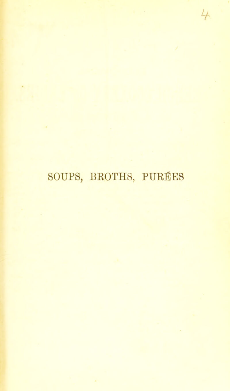 SOUPS, BROTHS, PUREES