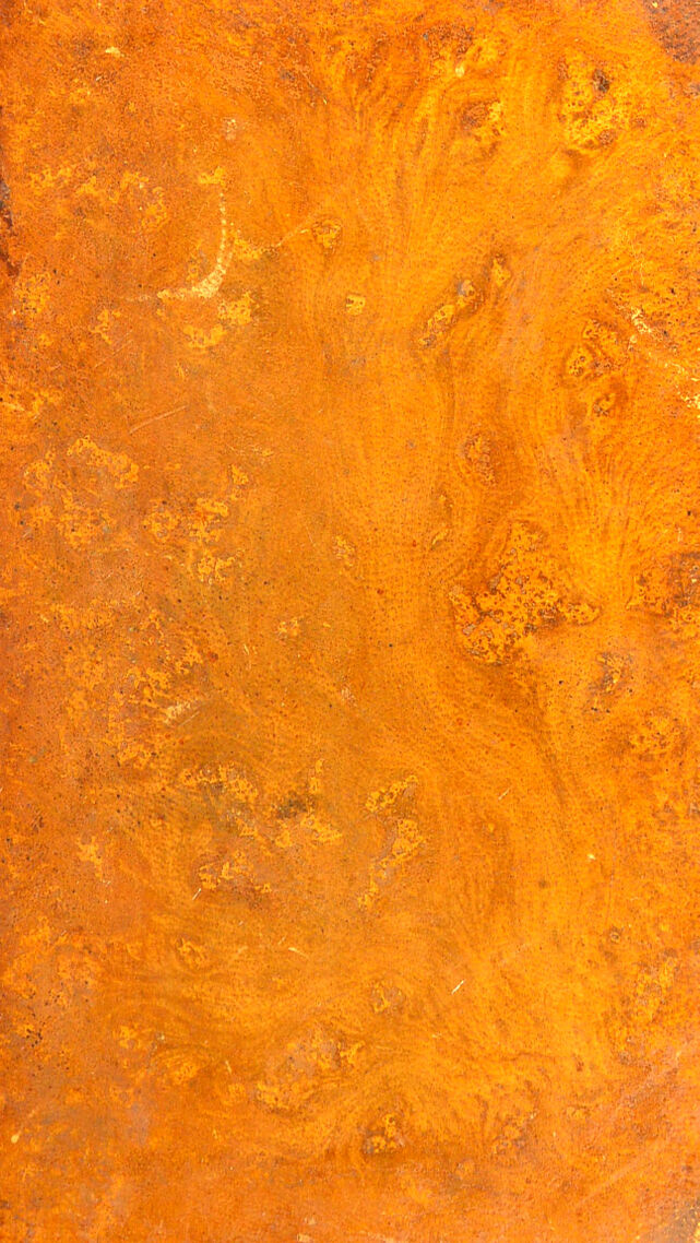 digitised image 1