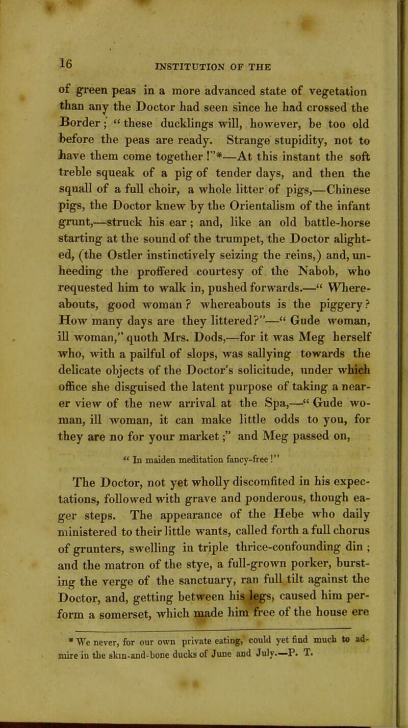 of green peas in a more advanced state of vegetation than any the Doctor had seen since he had crossed the Border; “ these ducklings will, however, be too old before the peas are ready. Strange stupidity, not to have them come together F*—At this instant the soft treble squeak of a pig of tender days, and then the squall of a full choir, a whole litter of pigs,—Chinese pigs, the Doctor knew by the Orientalism of the infant grunt,—struck his ear ; and, like an old battle-horse starting at the sound of the trumpet, the Doctor alight- ed, (the Ostler instinctively seizing the reins,) and, un- heeding the proffered courtesy of the Nabob, who requested him to walk in, pushed forwards.—“ Where- abouts, good woman ? whereabouts is the piggery ? How many days are they littered?”—“ Gude woman, ill woman,” quoth Mrs. Dods,—for it was Meg herself who, with a pailful of slops, was sallying towards the delicate objects of the Doctor’s solicitude, under which office she disguised the latent purpose of taking a near- er view of the new arrival at the Spa,—“ Gude wo- man, ill woman, it can make little odds to you, for they are no for your marketand Meg passed on, “ In maiden meditation fancy-free !” The Doctor, not yet wholly discomfited in his expec- tations, followed with grave and ponderous, though ea- ger steps. The appearance of the Hebe who daily ministered to their little wants, called forth a full chorus of grunters, swelling in triple thrice-confounding din ; and the matron of the stye, a full-grown porker, burst- ing the verge of the sanctuary, ran full tilt against the Doctor, and, getting between his .legs, caused him per- form a somerset, which made him free of the house ere * We never, for our own private eating, could yet find much to ad- mire in the skm-and-bone ducks of June and July.—P. T.