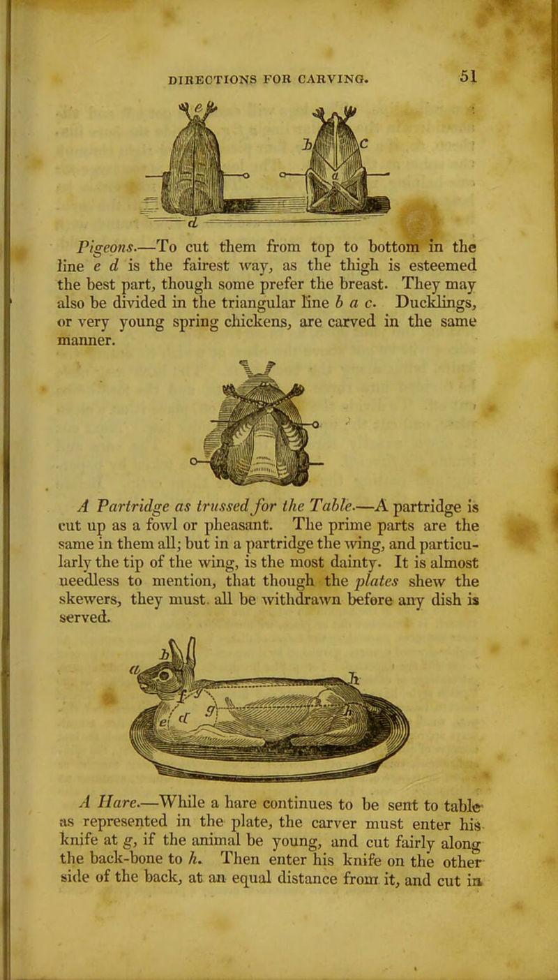 Pigeons.—To cut them from top to bottom in the line c d is the fairest way, as the thigh is esteemed the best part, though some prefer the breast. They may also be divided in the triangular line b a c. Ducklings, or very young spring chickens, are carved in the same manner. A Partridge as trussed for the Table.—A partridge is cut up as a fowl or pheasant. The prime parts are the same in them all; but in a partridge the 'wing, and particu- larly the tip of the wing, is the most dainty. It is almost needless to mention, that though the plates shew the skewers, they must all be withdrawn before any dish is served. A Hare.—While a hare continues to be sent to table as represented in the plate, the carver must enter his knife at g, if the animal be young, and cut fairly along the back-bone to It. Then enter his knife on the other side of the back, at an equal distance from it, and cut in