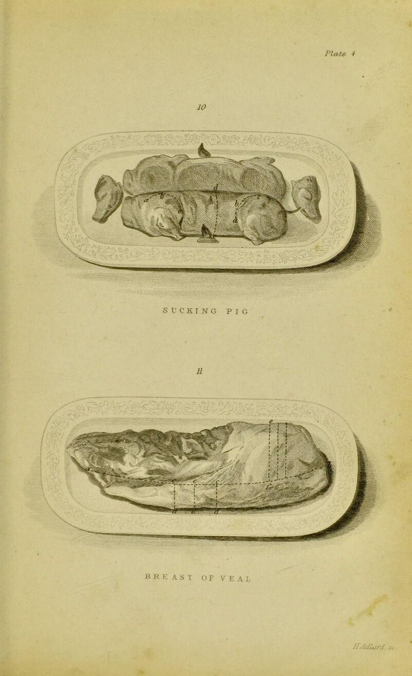 10 SUCKING PIG R BREAST of veal ITAdLcird ..v,