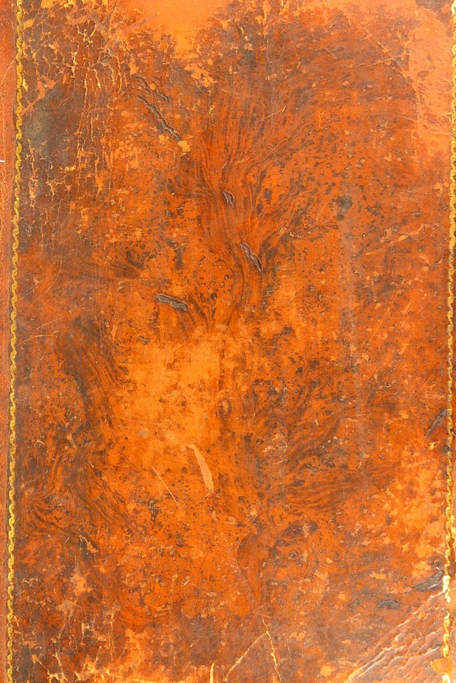 No text description is available for this image