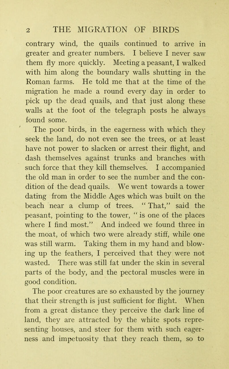 contrary wind, the quails continued to arrive in greater and greater numbers. I believe I never saw them fly more quickly. Meeting a peasant, I walked with him along the boundary walls shutting in the Roman farms. He told me that at the time of the migration he made a round every day in order to pick up the dead quails, and that just along these walls at the foot of the telegraph posts he always found some. The poor birds, in the eagerness with which they seek the land, do not even see the trees, or at least have not power to slacken or arrest their flight, and dash themselves against trunks and branches with such force that they kill themselves. I accompanied the old man in order to see the number and the con- dition of the dead quails. We went towards a tower dating from the Middle Ages which was built on the beach near a clump of trees. “ That,” said the peasant, pointing to the tower, “ is one of the places where I find most.” And indeed we found three in the moat, of which two were already stiff, while one was still warm. Taking them in my hand and blow- ing up the feathers, I perceived that they were not wasted. There was still fat under the skin in several parts of the body, and the pectoral muscles were in good condition. The poor creatures are so exhausted by the journey that their strength is just sufficient for flight. When from a great distance they perceive the dark line of land, they are attracted by the white spots repre- senting houses, and steer for them with such eager- ness and impetuosity that they reach them, so to