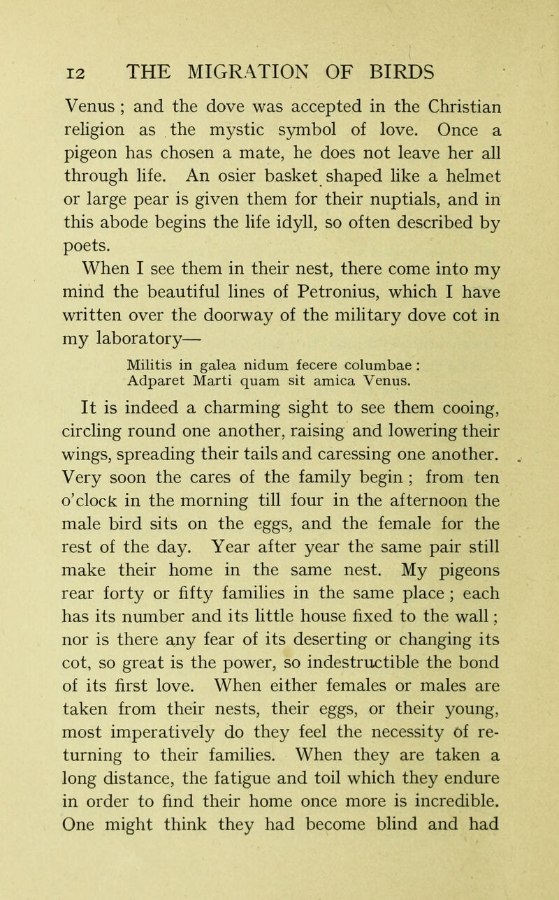 Venus ; and the dove was accepted in the Christian religion as the mystic symbol of love. Once a pigeon has chosen a mate, he does not leave her all through life. An osier basket shaped like a helmet or large pear is given them for their nuptials, and in this abode begins the life idyll, so often described by poets. When I see them in their nest, there come into my mind the beautiful lines of Petronius, which I have written over the doorway of the military dove cot in my laboratory— Militis in galea nidum fecere columbae : Adparet Marti quam sit arnica Venus. It is indeed a charming sight to see them cooing, circling round one another, raising and lowering their wings, spreading their tails and caressing one another. Very soon the cares of the family begin ; from ten o’clock in the morning till four in the afternoon the male bird sits on the eggs, and the female for the rest of the day. Year after year the same pair still make their home in the same nest. My pigeons rear forty or fifty families in the same place ; each has its number and its little house fixed to the wall; nor is there any fear of its deserting or changing its cot, so great is the power, so indestructible the bond of its first love. When either females or males are taken from their nests, their eggs, or their young, most imperatively do they feel the necessity Of re- turning to their families. When they are taken a long distance, the fatigue and toil which they endure in order to find their home once more is incredible. One might think they had become blind and had