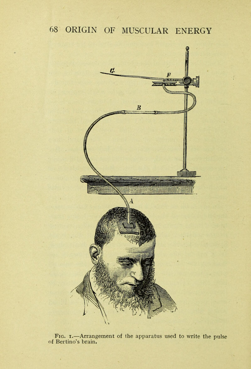 Fig. i.—Arrangement of the apparatus used to write the pulse of Bertino’s brain.