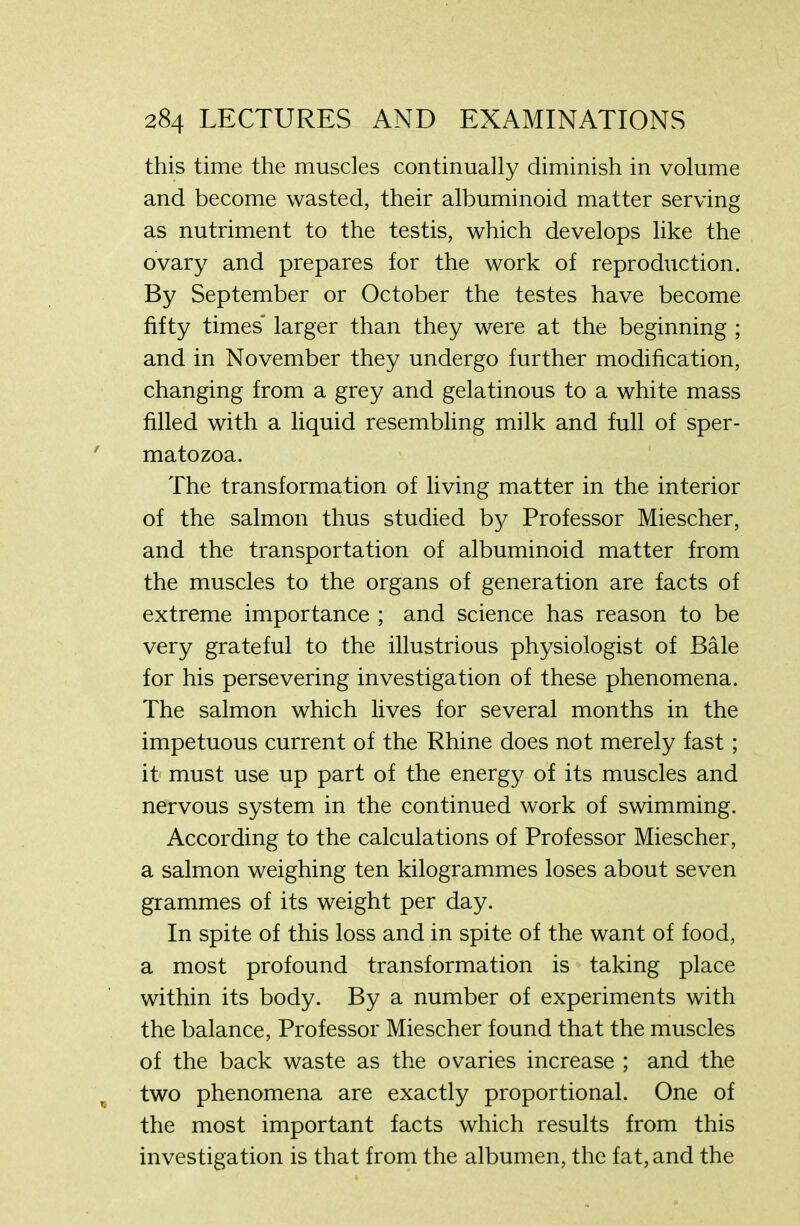 this time the muscles continually diminish in volume and become wasted, their albuminoid matter serving as nutriment to the testis, which develops like the ovary and prepares for the work of reproduction. By September or October the testes have become fifty times* larger than they were at the beginning ; and in November they undergo further modification, changing from a grey and gelatinous to a white mass filled with a liquid resembling milk and full of sper- matozoa. The transformation of living matter in the interior of the salmon thus studied by Professor Miescher, and the transportation of albuminoid matter from the muscles to the organs of generation are facts of extreme importance ; and science has reason to be very grateful to the illustrious physiologist of Bale for his persevering investigation of these phenomena. The salmon which lives for several months in the impetuous current of the Rhine does not merely fast; it must use up part of the energy of its muscles and nervous system in the continued work of swimming. According to the calculations of Professor Miescher, a salmon weighing ten kilogrammes loses about seven grammes of its weight per day. In spite of this loss and in spite of the want of food, a most profound transformation is taking place within its body. By a number of experiments with the balance, Professor Miescher found that the muscles of the back waste as the ovaries increase ; and the two phenomena are exactly proportional. One of the most important facts which results from this investigation is that from the albumen, the fat, and the