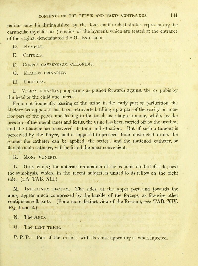 nation may be distinguished by the four small arched strokes representing the carunculre myrtiformes (remains of the hymen), which are seated at the entrance of the vagina, denominated the Os Externum, I). Nympha. E. Clitoris. F. Corpus cavernosum clitoridis. G. Meatus urinarius. H. Urethra. I. Vesica urinaria; appearing as pushed forwards against the os pubis by the head of the child and uterus. From not frequently passing of the urine in the early part of parturition, the bladder (as supposed) has been retroverted, filling up a part of the cavity or ante- rior part of the pelvis, and feeling to the touch as a large tumour, while, by the pressure of the membranes and foetus, the urine has been carried oft' by the urethra, and the bladder has recovered its tone and situation. But if such a tumour is perceived by the finger, and is supposed to proceed from obstructed urine, the sooner the catheter can be applied, the better; and the flattened catheter, or flexible male catheter, will be found the most convenient. I K. Mons Veneris. L. Ossa pubis ; the anterior termination of the os pubis on the left side, next the symphysis, which, in the recent subject, is united to its fellow on the right side; (vide TAB. XII.) M. Intestinum rectum. The sides, at the upper part and towards the anus, appear much compressed by the handle of the forceps, as likewise other contiguous soft parts. (For a more distinct view of the Bectum, vide TAB. XIV. Fig. 1 and 2.) N. The Anus. * J O. The left thigh. P. P. P. Part of the uterus, with its veins, appearing as when injected.