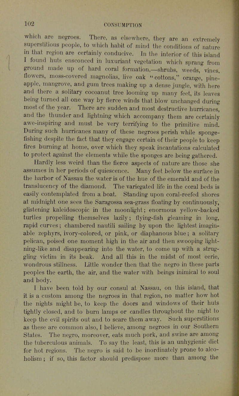 which are negroes. There, as elsewhere, they are an extremely superstitious people, to which habit of mind the conditions of nature in that region are certainly conducive. In the interior of this island I found huts ensconced in luxuriant vegetation which sprang from ground made up of hard coral formation,—shrubs, weeds, vines, flowers, moss-covered magnolias, live oak cottons, orange, pine- apple, mangrove, and gum trees making up a dense jungle, with here and there a solitary cocoanut tree looming up many feet, its leaves being turned all one way by fierce winds that blow unchanged during most of the year. There are sudden and most destructive hurricanes, and the thunder and lightning which accompany them are certainly awe-inspiring and must be very terrifying to the primitive mind. During such hurricanes many of these negroes perish while sponge- fishing despite the fact that they engage certain of their people to keep fires burning at home, over which they speak incantations calculated to protect against the elements while the sponges are being gathered. Hardly less weird than the fierce aspects of nature are those she assumes in her periods of quiescence. Many feet below the surface in the harbor of Nassau the water is of the hue of the emerald and of the translucency of the diamond. The variegated life in the coral beds is easily contemplated from a boat. Standing upon coral-reefed shores at midnight one sees the Saragossa sea-grass floating by continuously, glistening kaleidoscopic in the moonlight; enormous yellow-backed turtles propelling themselves lazily; flying-fish gleaming in long, rapid curves; chambered nautili sailing by upon the lightest imagin- able zephyrs, ivory-colored, or pink, or diaphanous blue; a solitary pelican, poised one moment high in the air and then swooping light- ning-like and disappearing into the water, to come up with a strug- gling victim in its beak. And all this in the midst of most eerie, wondrous stillness. Little wonder then that the negro in these parts peoples the earth, the air, and the water with beings inimical to soul and body. I have been told by our consul at Nassau, on this island, that it is a custom among the negroes in that region, no matter how hot the nights might be, to keep the doors and windows of their huts tightly closed, and to burn lamps or candles throughout the night to keep the evil spirits out and to scare them away. Such superstitions as these are common also, I believe, among negroes in our Southern States. The negro, moreover, eats much pork, and swine are among the tuberculous animals. To say the least, this is an unhygienic diet for hot regions. The negro is said to be inordinately prone to alco- holism ; if so, this factor should predispose more than among the