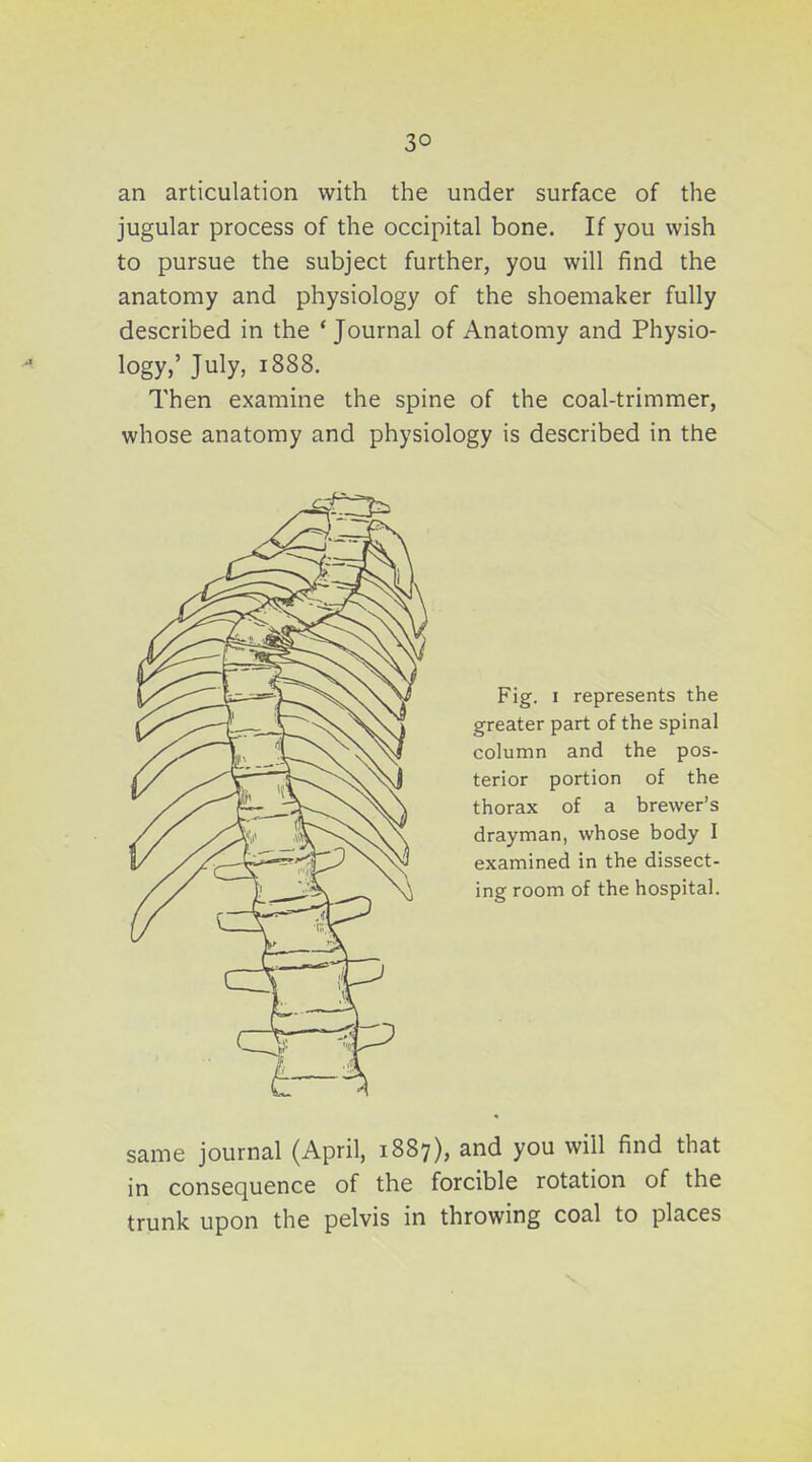 an articulation with the under surface of the jugular process of the occipital bone. If you wish to pursue the subject further, you will find the anatomy and physiology of the shoemaker fully described in the * Journal of Anatomy and Physio- logy,' July, 1888. Then examine the spine of the coal-trimmer, whose anatomy and physiology is described in the same journal (April, 1887), and you will find that in consequence of the forcible rotation of the trunk upon the pelvis in throwing coal to places Fig. I represents the greater part of the spinal column and the pos- terior portion of the thorax of a brewer's drayman, whose body I examined in the dissect- ing room of the hospital.