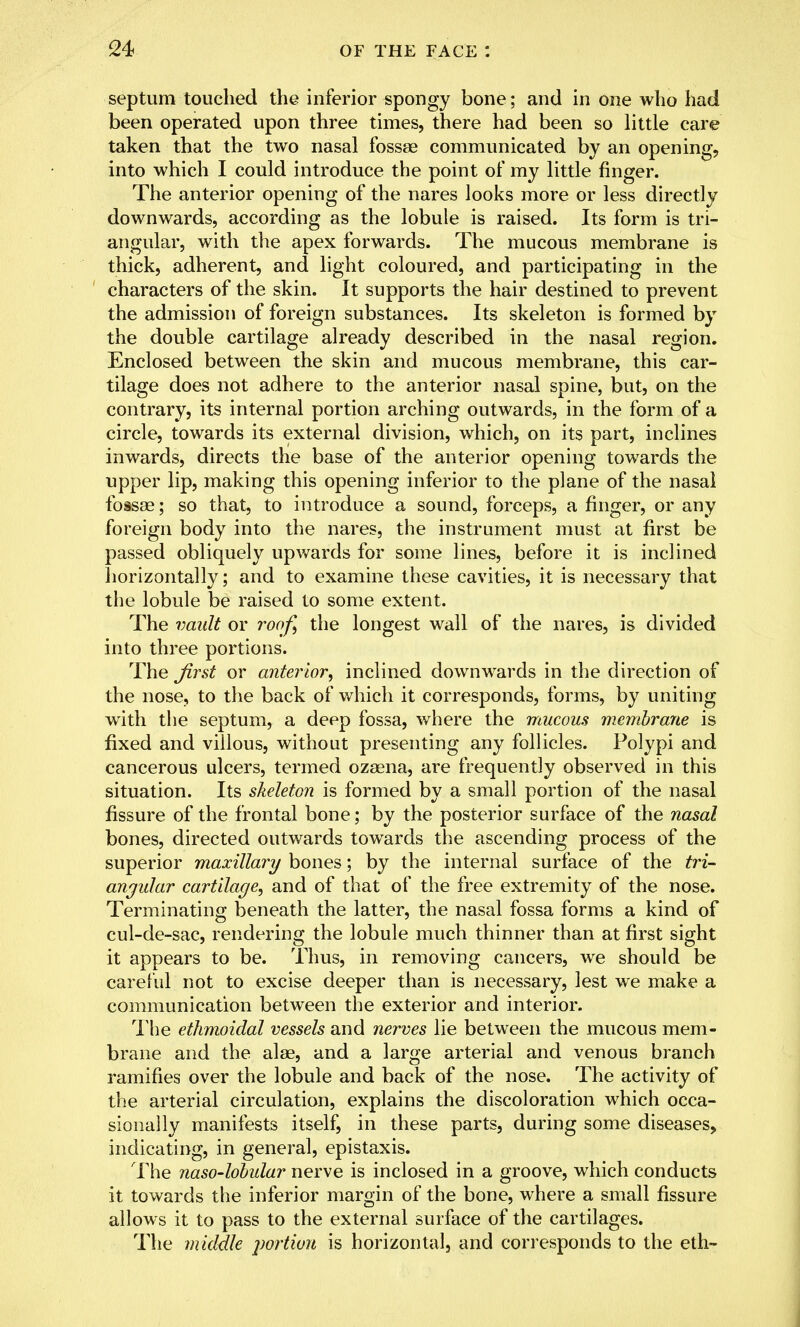 septum touched the inferior spongy bone; and in one who had been operated upon three times, there had been so little care taken that the two nasal fossae communicated by an opening, into which I could introduce the point of my little finger. The anterior opening of the nares looks more or less directly downwards, according as the lobule is raised. Its form is tri- angular, with the apex forwards. The mucous membrane is thick, adherent, and light coloured, and participating in the characters of the skin. It supports the hair destined to prevent the admission of foreign substances. Its skeleton is formed by the double cartilage already described in the nasal region. Enclosed between the skin and mucous membrane, this car- tilage does not adhere to the anterior nasal spine, but, on the contrary, its internal portion arching outwards, in the form of a circle, towards its external division, which, on its part, inclines inwards, directs the base of the anterior opening towards the upper lip, making this opening inferior to the plane of the nasal fossae; so that, to introduce a sound, forceps, a finger, or any foreign body into the nares, the instrument must at first be passed obliquely upwards for some lines, before it is inclined horizontally; and to examine these cavities, it is necessary that the lobule be raised to some extent. The vault or roof, the longest wall of the nares, is divided into three portions. The first or anterior, inclined downwards in the direction of the nose, to the back of which it corresponds, forms, by uniting with the septum, a deep fossa, where the mucous membrane is fixed and villous, without presenting any follicles. Polypi and cancerous ulcers, termed ozaena, are frequently observed in this situation. Its skeleton is formed by a small portion of the nasal fissure of the frontal bone; by the posterior surface of the nasal bones, directed outwards towards the ascending process of the superior maxillary bones; by the internal surface of the tri- angular cartilage, and of that of the free extremity of the nose. Terminating beneath the latter, the nasal fossa forms a kind of cul-de-sac, rendering the lobule much thinner than at first sight it appears to be. Thus, in removing cancers, we should be careful not to excise deeper than is necessary, lest we make a communication between the exterior and interior. The ethmoidal vessels and nerves lie between the mucous mem- brane and the alae, and a large arterial and venous branch ramifies over the lobule and back of the nose. The activity of the arterial circulation, explains the discoloration which occa- sionally manifests itself, in these parts, during some diseases, indicating, in general, epistaxis. The naso-lobular nerve is inclosed in a groove, which conducts it towards the inferior margin of the bone, where a small fissure allows it to pass to the external surface of the cartilages. The middle portion is horizontal, and corresponds to the eth-