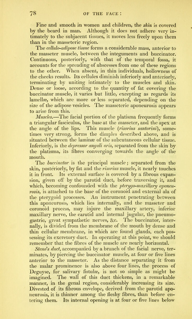 Fine and smooth in women and children, the skin is covered by the beard in man. Although it does not adhere very in- timately to the subjacent tissues, it moves less freely upon them than in the masseteric region. The cellulo-adipose tissue forms a considerable mass, anterior to the masseter muscle, between the integuments and buccinator. Continuous, posteriorly, with that of the temporal fossa, it accounts for the spreading of abscesses from one of these regions to the other. When absent, in thin individuals, hollowness of the cheeks results. Its cellules diminish inferiorly and anteriorly, terminating by uniting intimately to the muscles and skin. Dense or loose, according to the quantity of fat covering the buccinator muscle, it varies but little, excepting as regards its lamellae, which are more or less separated, depending on the size of the adipose vesicles. The masseteric aponeurosis appears to arise from this. Muscles.—The facial portion of the platisma frequently forms a triangular fasciculus, the base at the masseter, and the apex at the angle of the lips. This muscle (risorius santorini), some- times very strong, forms the dimples described above, and is situated between the lamina? of the subcutaneous cellular tissue. Inferiorly, is the depressor anguli oris, separated from the skin by the platisma, its fibres converging towards the angle of the mouth. The buccinator is the principal muscle; separated from the skin, posteriorly, by fat and the risorius muscle, it nearly touches it in front. Its external surface is covered by a fibrous expan- sion, given off by the parotid duct, before traversing it, and which, becoming confounded with the pterygo-maxillary aponeu- rosis, is attached to the base of the coronoid and external ala of the pterygoid processes. An instrument penetrating between this aponeurosis, which lies internally, and the masseter and coronoid process, may injure the maxillary artery, inferior maxillary nerve, the carotid and internal jugular, the pneumo- gastric, great sympathetic nerves, &c. The buccinator, inter- nally, is divided from the membrane of the mouth by dense and thin cellular membrane, in which are found glands, each pos- sessing its excretory duct. In operating at this point, we should remember that the fibres of the muscle are nearly horizontal. Steno's duct, accompanied by a branch of the facial nerve, ter- minates, by piercing the buccinator muscle, at four or five lines anterior to the masseter. As the distance separating it from the malar prominence is also above four lines, the process of Deguyse, for salivary fistulas, is not so simple as might be imagined. The wall of this duct thickens, in a remarkable manner, in the genal region, considerably increasing its size. Divested of its fibrous envelope, derived from the parotid apo- neurosis, it is thinner among the fleshy fibres, than before en- tering them. Its internal opening is at four or five lines below