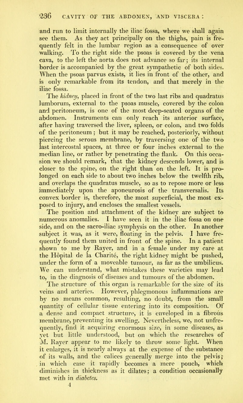 and run to limit internally the iliac fossa, where we shall again see them. As they act principally on the thighs, pain is fre- quently felt in the lumbar region as a consequence of over walking. To the right side the psoas is covered by the vena cava, to the left the aorta does not advance so far; its internal border is accompanied by the great sympathetic of both sides. When the psoas parvus exists, it lies in front of the other, and is only remarkable from its tendon, and that merely in the iliac fossa. The kidney, placed in front of the two last ribs and quadratus lumborum, external to the psoas muscle, covered by the colon and peritoneum, is one of the most deep-seated organs of the abdomen. Instruments can only reach its anterior surface, after having traversed the liver, spleen, or colon, and two folds of the peritoneum; but it may be reached, posteriorly, without piercing the serous membrane, by traversing one of the two last intercostal spaces, at three or four inches external to the median line, or rather by penetrating the flank. On this occa- sion we should remark, that the kidney descends lower, and is closer to the spine, on the right than on the left. It is pro- longed on each side to about two inches below the twelfth rib, and overlaps the quadratus muscle, so as to repose more or less immediately upon the aponeurosis of the transversalis. Its convex border is, therefore, the most superficial, the most ex- posed to injury, and encloses the smallest vessels. The position and attachment of the kidney are subject to numerous anomalies. I have seen it in the iliac fossa on one side, and on the sacro-iliac symphysis on the other. In another subject it was, as it were, floating in the pelvis. I have fre- quently found them united in front of the spine. In a patient shown to me by Rayer, and in a female under my care at the Hopital de la Charite, the right kidney might be pushed, under the form of a moveable tumour, as far as the umbilicus. We can understand, what mistakes these varieties may lead to, in the diagnosis of diseases and tumours of the abdomen. The structure of this organ is remarkable for the size of its veins and arteries. However, phlegmonous inflammations are by no means common, resulting, no doubt, from the small quantity of cellular tissue entering into its composition. Of a dense and compact structure, it is enveloped in a fibrous membrane, preventing its swelling. Nevertheless, we, not unfre- quently, find it acquiring enormous size, in some diseases, as yet but little understood, but on which the researches of M. Rayer appear to me likely to throw some light. When it enlarges, it is nearly always at the expense of the substance of its walls, and the calices generally merge into the pelvis; in which case it rapidly becomes a mere pouch, which diminishes in thickness as it dilates; a condition occasionally met with in diabetes. 4