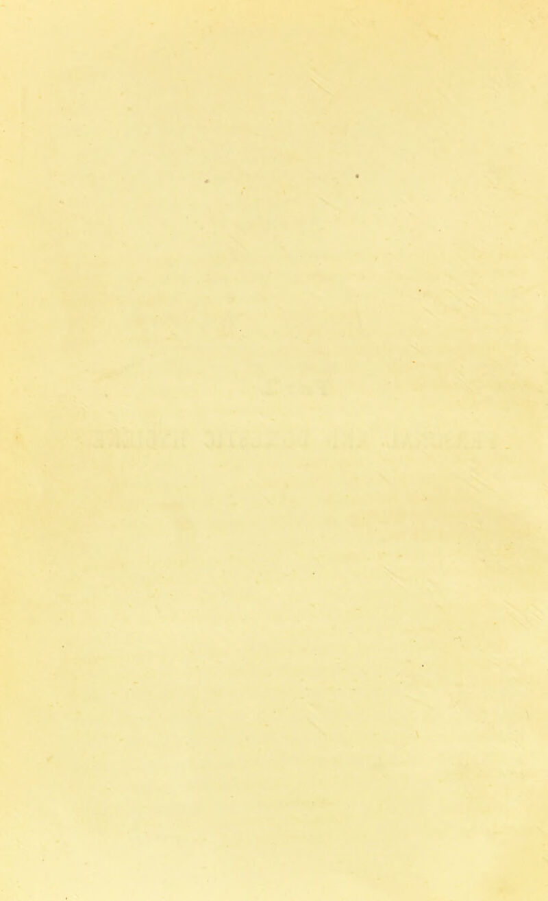 ■ X •> fc ' . ^ . S»v- *. N. fi -% • - ,..i. -■ -* ' ■ .•■-... V \ ■ rf •< . N