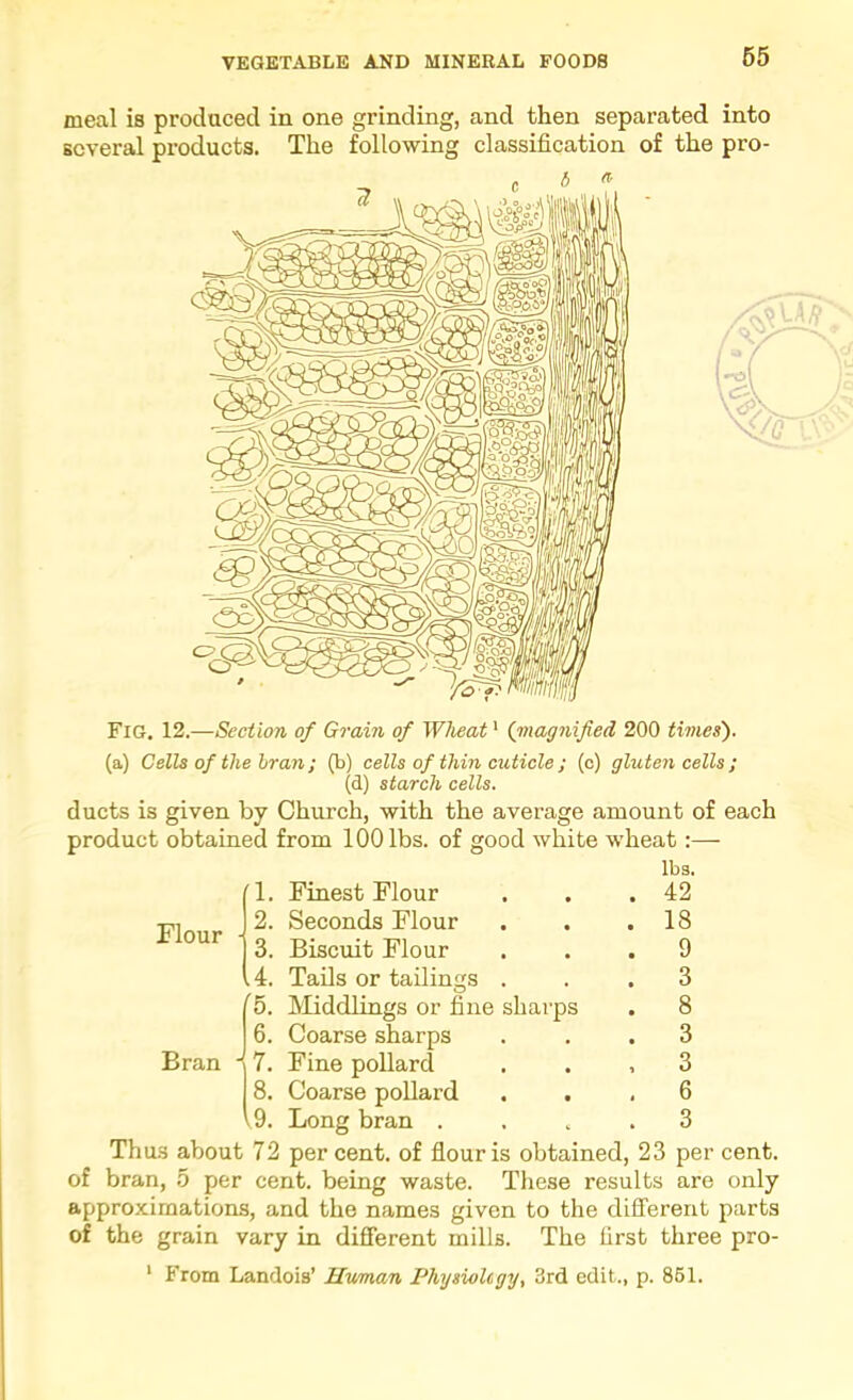 meal is produced in one grinding, and then separated into several products. The following classification of the pro- Fig. 12.—Section of Grain of Wheat' (inagnified 200 times). (a) Cells of the Iran; (b) cells of thin cuticle ; (c) gluten cells ; (d) starch cells. ducts is given by Church, with the average amount of each product obtained from 100 lbs. of good white wheat :— lbs. 1. Finest Flour . , .42 2. Seconds Flour . . .18 3. Biscuit Flour ... 9 Flour 4. Tails or tailings . '5. IVIiddlings or fine sharps 6. Coarse sharps 3 8 3 3 6 3 Bran 7. Fine pollard 8. Coarse pollard .9. Long bran . Thus about 72 per cent, of flour is obtained, 23 per cent, of bran, 5 per cent, being waste. These results are only approximations, and the names given to the different parts of the grain vary in different mills. The first three pro- ‘ From Landois’ Human Physiolcgy, 3rd edit., p. 861.