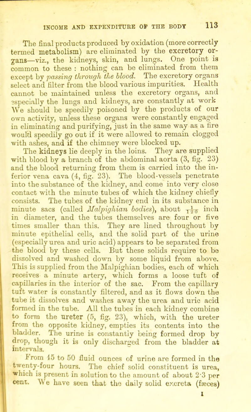 The final products produced by oxidation (more correctly termed metabolism) are eliminated by the excretory or- gans—viz., the kidneys, skin, and lungs. One point is common to these : nothing can be eliminated from them except by passing through the blood. The excretory organs select and filter from the blood various impurities. Health cannot be maintained unless the excretory organs, and especially the lungs and kidneys, are constantly at work We should be speedily poisoned by the products of our own activity, unless these organs were constantly engaged in eliminating and purifying, just in the same way as a fire would speedily go out if it were allowed to remain clogged with ashes, and if the chimney were blocked up. The kidneys lie deeply in the loins. They are supplied with blood by a branch of the abdominal aorta (3, fig. 23) and the blood returnmg from them is carried into the in- ferior vena cava (4, fig. 23). The blood-vessels penetrate into the substance of the kidney, and come into very close contact wdth the minute tubes of which the kidney chiefly consists. The tubes of the kidney end in its substance in minute sacs (called Malpighian bodies), about inch in diameter, and the tubes themselves are four or five times smaller than this. They are lined throughout by minute epithelial cells, and the solid part of the urine (especially urea and uric acid) appears to be separated from the blood by these cells. But these solids require to be dissolved and washed down by some liquid from above. This is supplied from the Malpighian bodies, each of which receives a minute artery, which forms a loose tuft of capillaries in the interior of the sac. From the capillary tuft water is constantly filtered, and as it flows down the tube it dissolves and washes away the urea and uric acid formed in the tube. All the tubes in each kidney combine to form the ureter (.5, fig. 23), which, with the ureter from the opposite kidney, empties its contents into the bladder. The urine is constantly being formed drop by drop, though it is only discharged from the bladder at intervals. k rom to 50 fluid ounces of urine are formed in the twenty-four hours. The chief solid constituent is urea, which is present in solution to the amount of about 2'3 per cent. We have seen that the daily solid excreta (fieces) 1