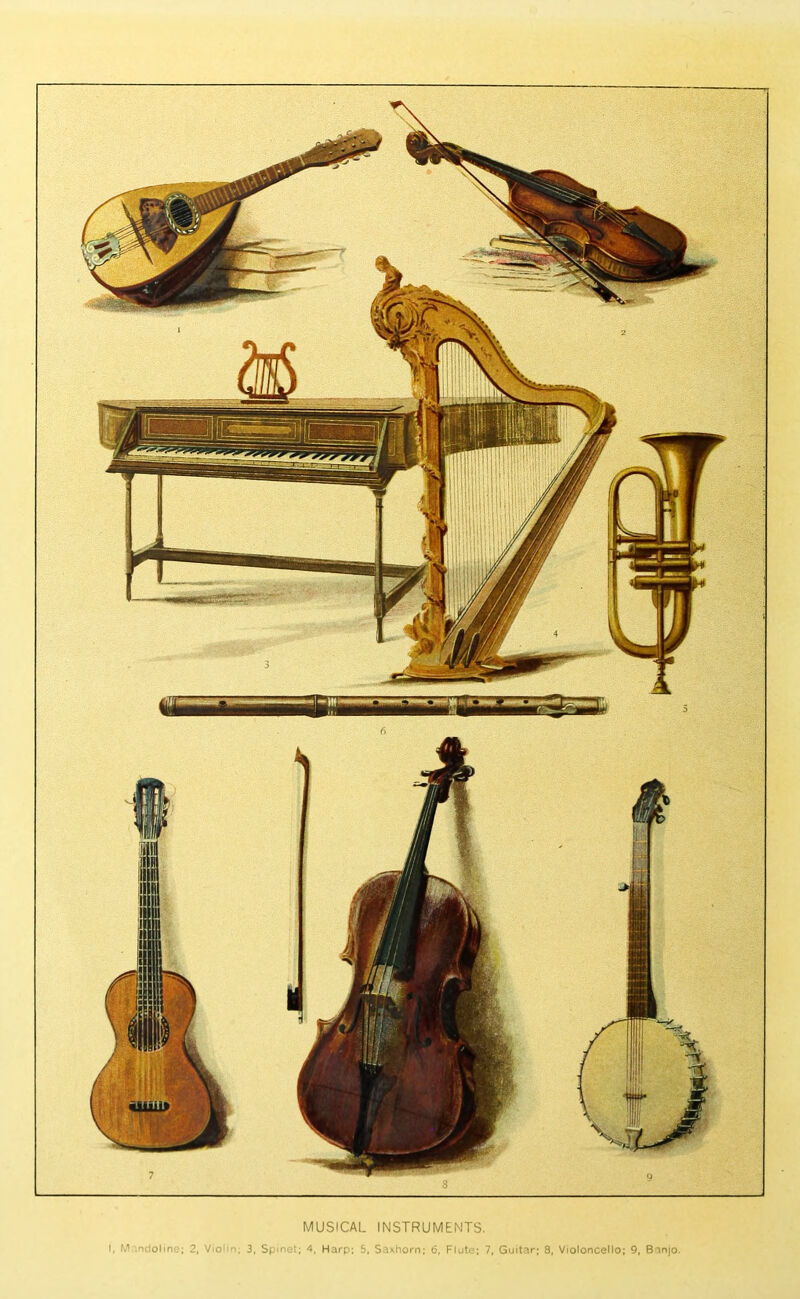 MUSICAL INSTRUMENTS * ’ oi‘t, ; S| ' : Hun ; ' , yr/j; | i..i . C- ' Violoncello; 9, B -njo.