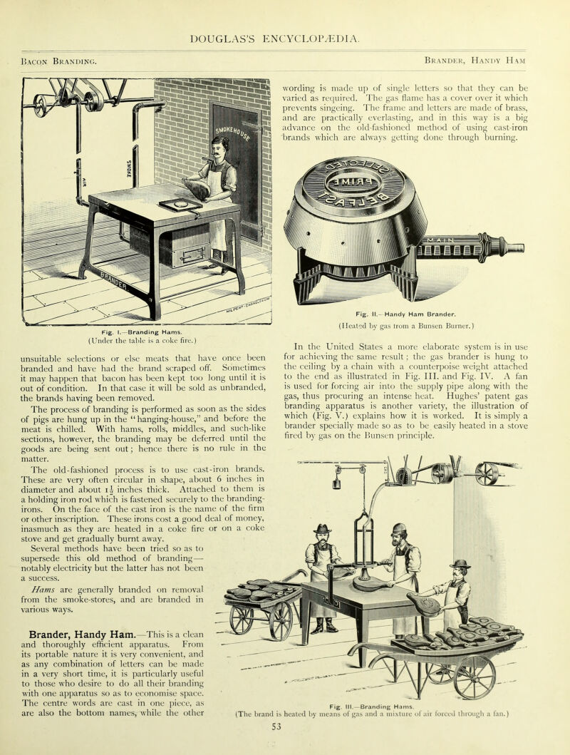 Bacon Branding. Brander, Handy Ham wording is made up of single letters so that they can be varied as required. The gas flame has a cover over it which prevents singeing. The frame and letters are made of brass, and are practically everlasting, and in this way is a big advance on the old-fashioned method of using cast-iron brands which are always getting done through burning. Fig. II.—Handy Ham Brander. (Heated by gas irom a Bunsen Burner.) Brander, Handy Ham.—This is a clean and thoroughly efficient apparatus. From its portable nature it is very convenient, and as any combination of letters can be made in a very short time, it is particularly useful to those who desire to do all their branding with one apparatus so as to economise space. The centre words are cast in one piece, as are also the bottom names, while the other (Under the table is a coke fire.) unsuitable selections or else meats that have once been branded and have had the brand scraped off. Sometimes it may happen that bacon has been kept too long until it is out of condition. In that case it will be sold as unbranded, the brands having been removed. The process of branding is performed as soon as the sides of pigs are hung up in the “hanging-house,” and before the meat is chilled. With hams, rolls, middles, and such-like sections, however, the branding may be deferred until the goods are being sent out; hence there is no rule in the matter. The old-fashioned process is to use cast-iron brands. These are very often circular in shape, about 6 inches in diameter and about ij inches thick. Attached to them is a holding iron rod which is fastened securely to the branding- irons. On the face of the cast iron is the name of the firm or other inscription. These irons cost a good deal of money, inasmuch as they are heated in a coke fire or on a coke stove and get gradually burnt away. Several methods have been tried so as to supersede this old method of branding— notably electricity but the latter has not been a success. Hams are generally branded on removal from the smoke-stores, and are branded in various ways. Fig. III.—Branding Hams. (The brand is healed by means of gas and a mixture of air forced through a fan.) In the United States a more elaborate system is in use for achieving the same result ; the gas brander is hung to the ceiling by a chain with a counterpoise weight attached to the end as illustrated in Fig. III. and Fig. IV. A fan is used for forcing air into the supply pipe along with the gas, thus procuring an intense heat. Hughes’ patent gas branding apparatus is another variety, the illustration of which (Fig. V.) explains how it is worked. It is simply a brander specially made so as to be easily heated in a stove fired by gas on the Bunsen principle.