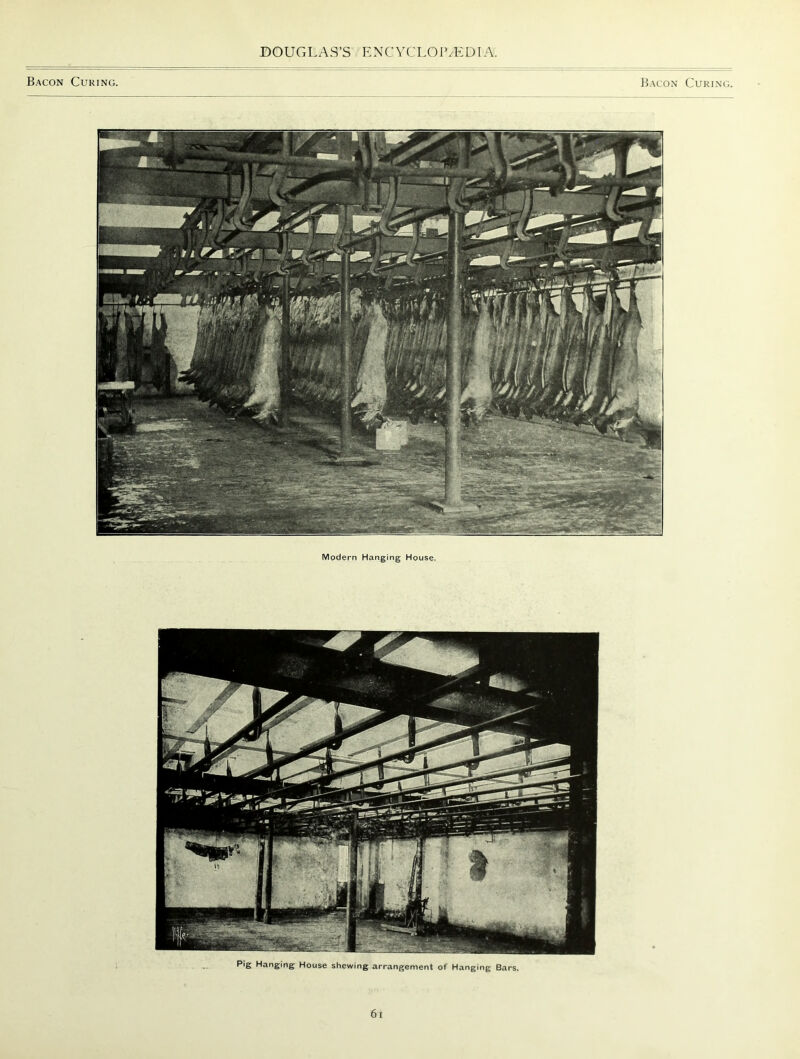 Bacon Curing. Bacon Curing. Modern Hanging House. Pig Hanging House shewing arrangement of Hanging Bars.