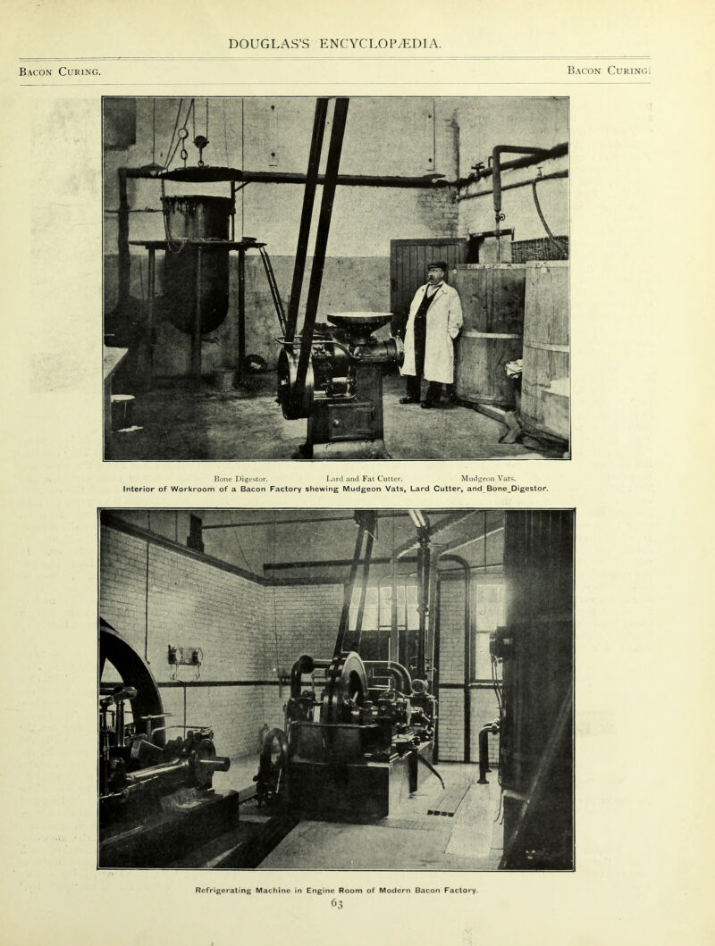 Bacon Curing. Bacon Curing. Bone Digestor. Lard and Fat Cutter. Mudgeon Vats. Interior of Workroom of a Bacon Factory shewing Mudgeon Vats, Lard Cutter, and Bone_Digestor.